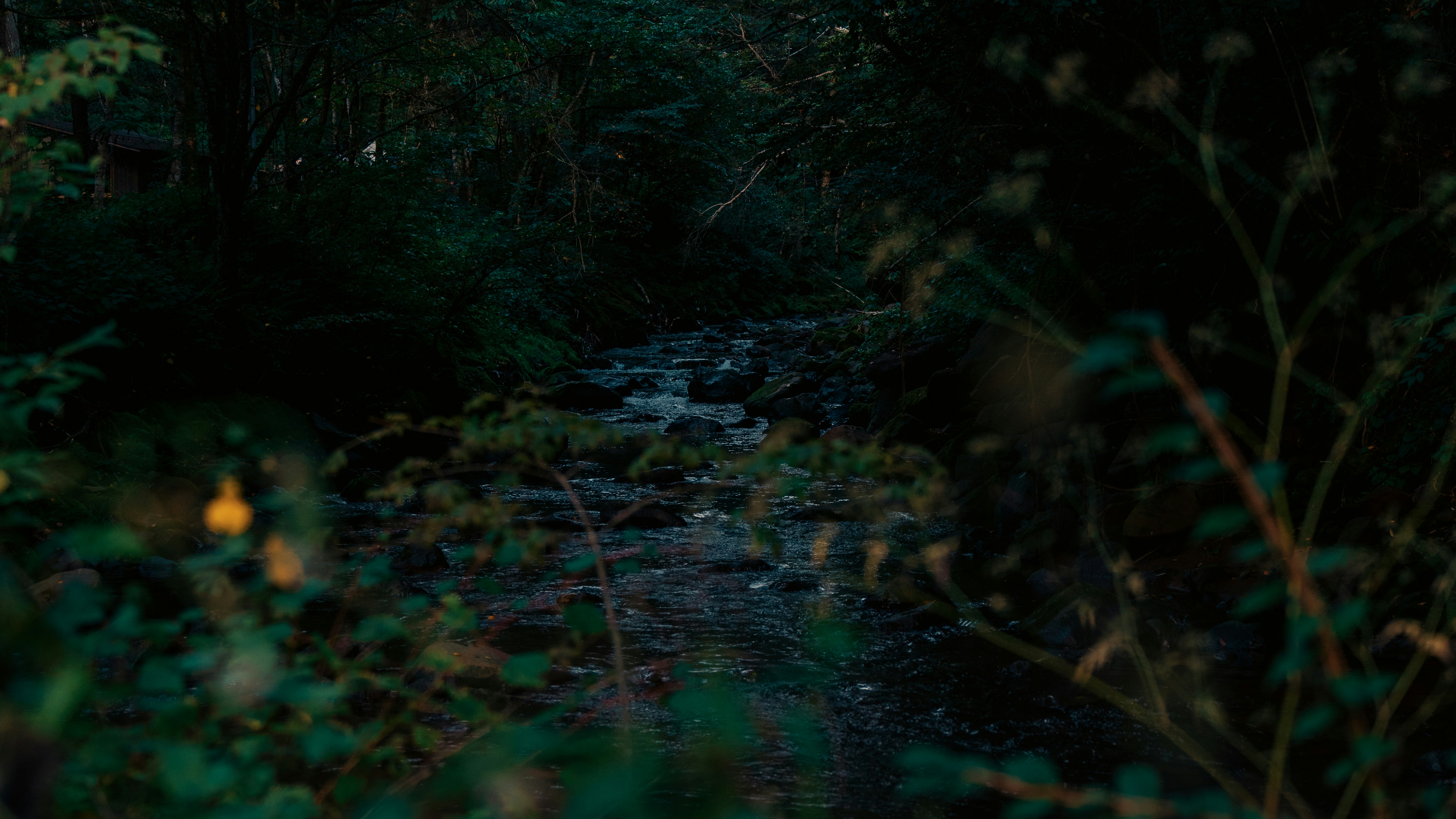 Photo by ryosuke_nasu