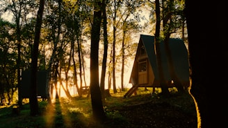 A-frame metal structure kit laid out in a forest clearing with pine trees and soft sunset light.