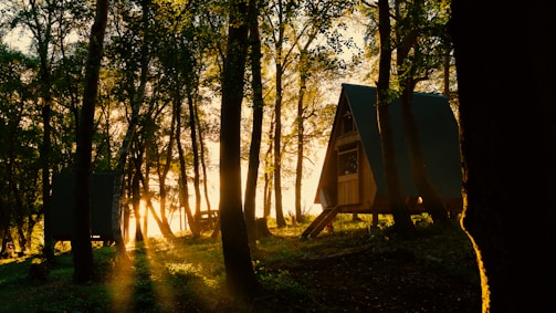 Finished A-frame chalet glowing warmly at sunset surrounded by pine trees