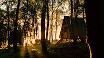 An A-frame cabin set amidst a dense forest with sunlight filtering through the tall trees, casting soft rays on the ground. The surrounding foliage appears lush and vibrant, illuminated by the warm glow of the setting sun.