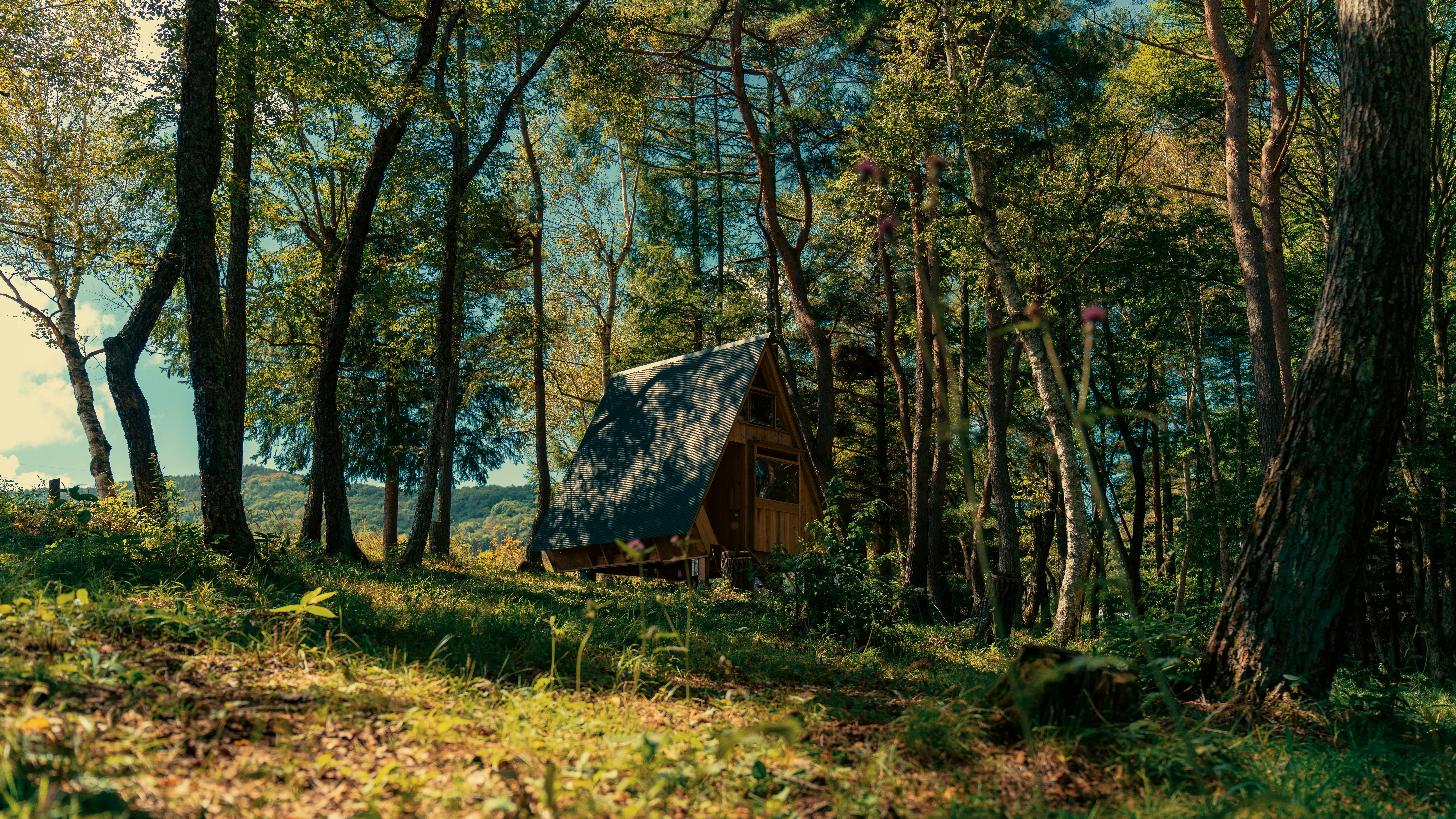 Photo by ryosuke_nasu