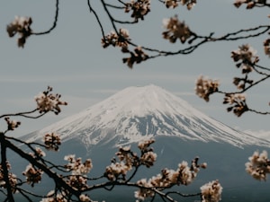 Japan Spring
