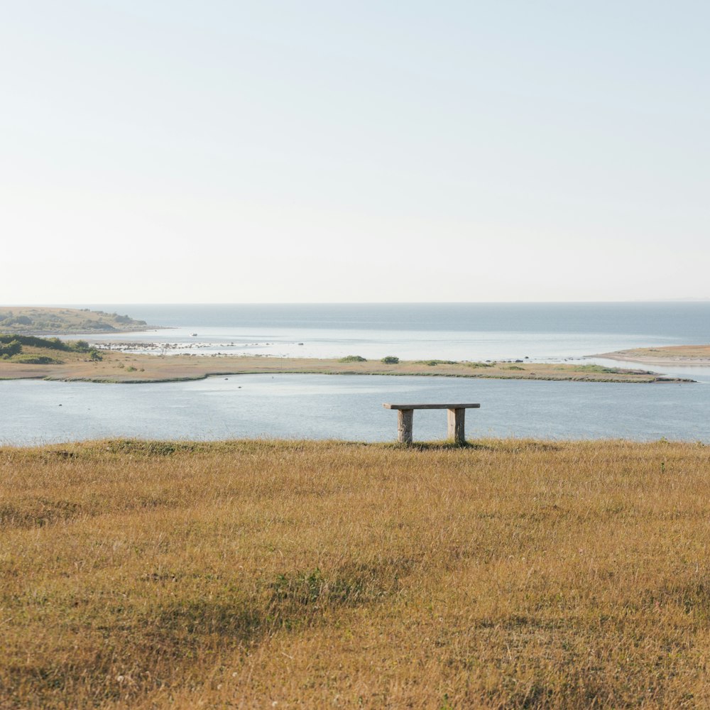 un banc assis au sommet d’un champ d’herbe sèche