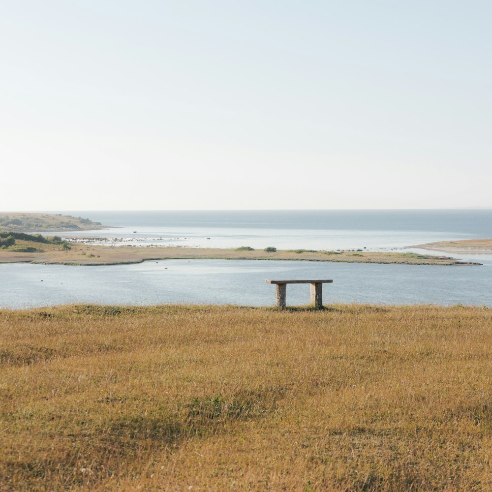 a bench sitting on top of a dry grass field