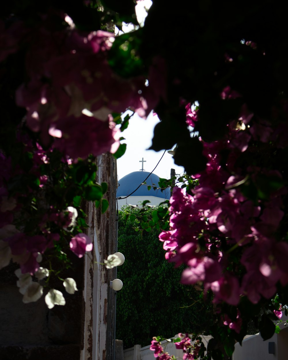 a view of a church through some purple flowers