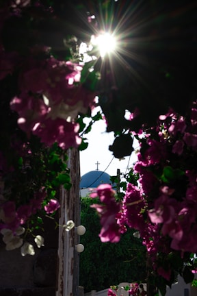 A serene moment of reflection at a Marian shrine surrounded by spring flowers and soft sunlight