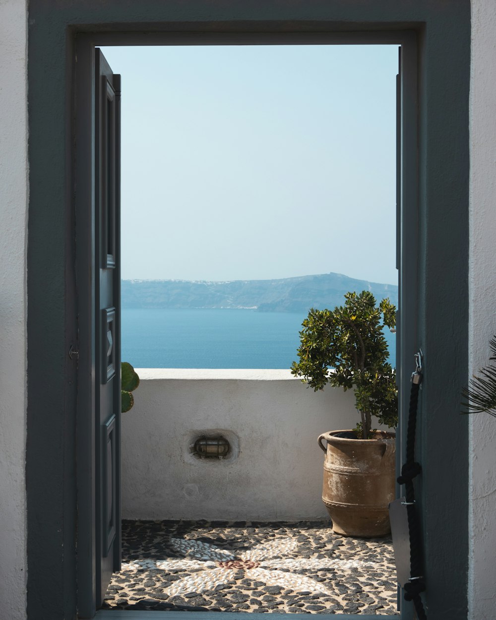 an open door leading to a balcony with a potted plant