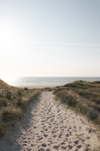a sandy path leading to the ocean on a sunny day