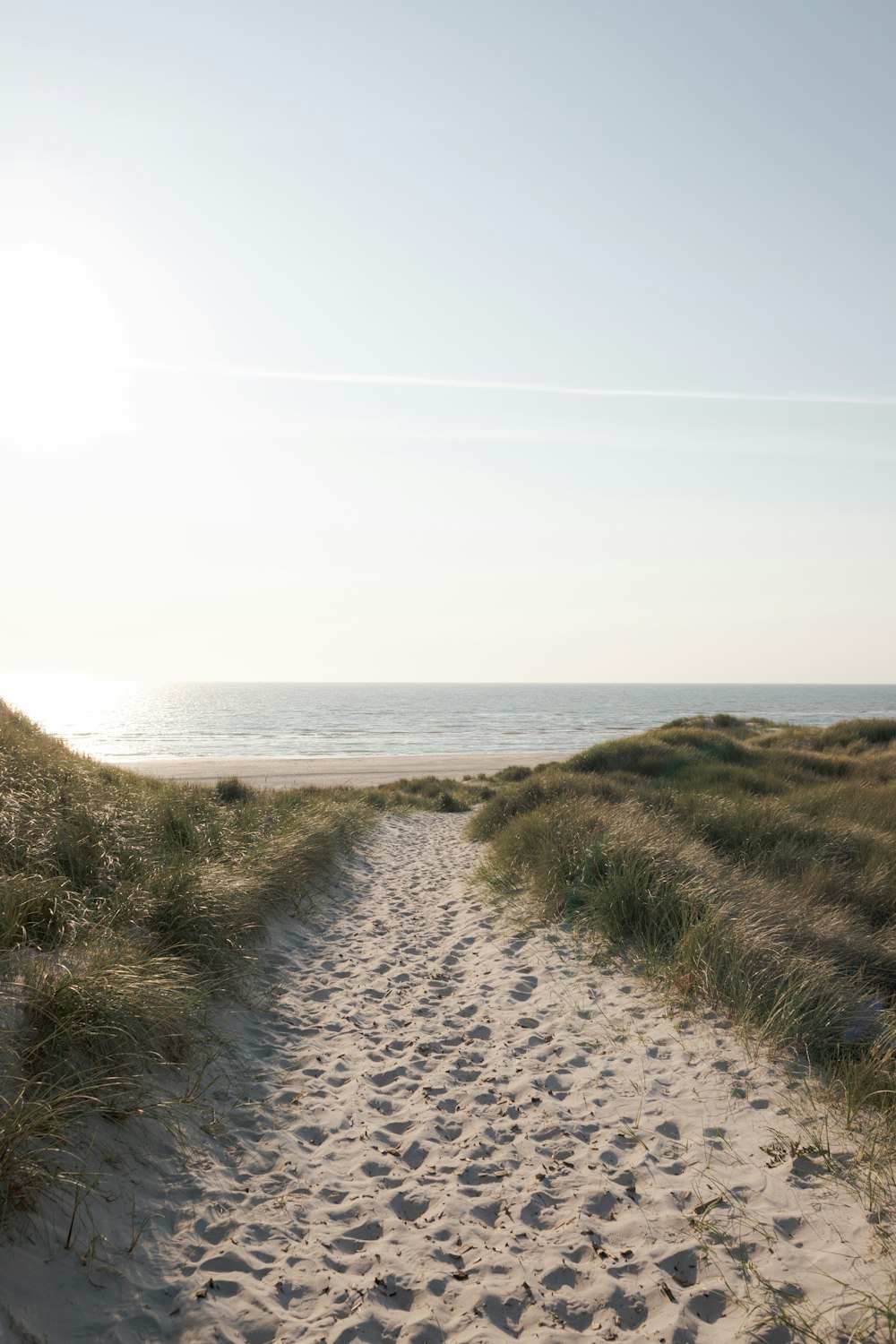 a sandy path leading to the ocean on a sunny day