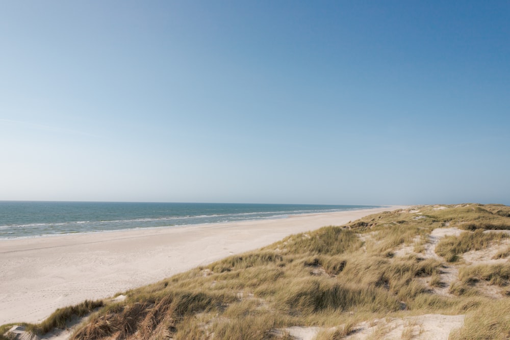 a sandy beach next to the ocean under a blue sky