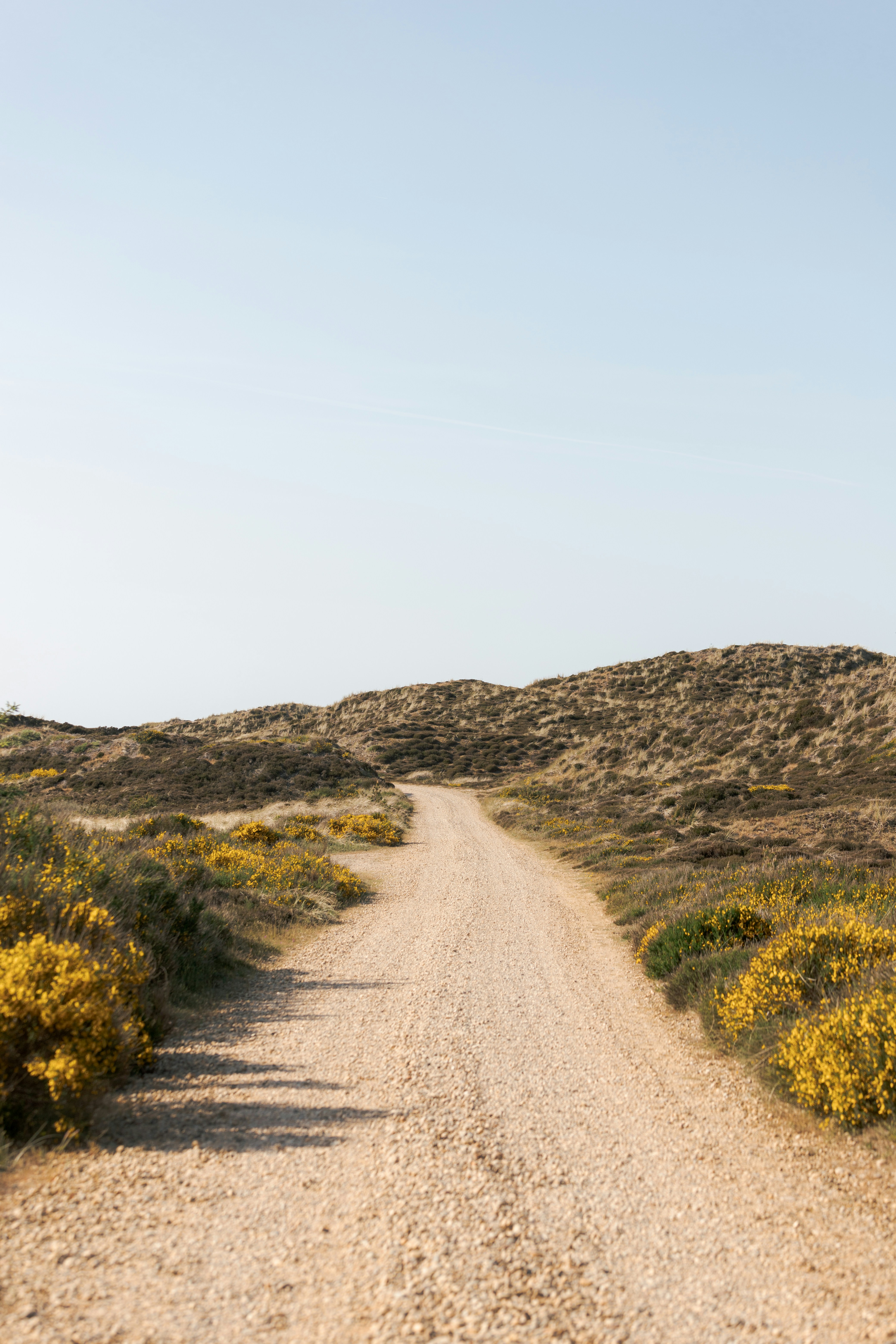 Photo by karlhornfeldt