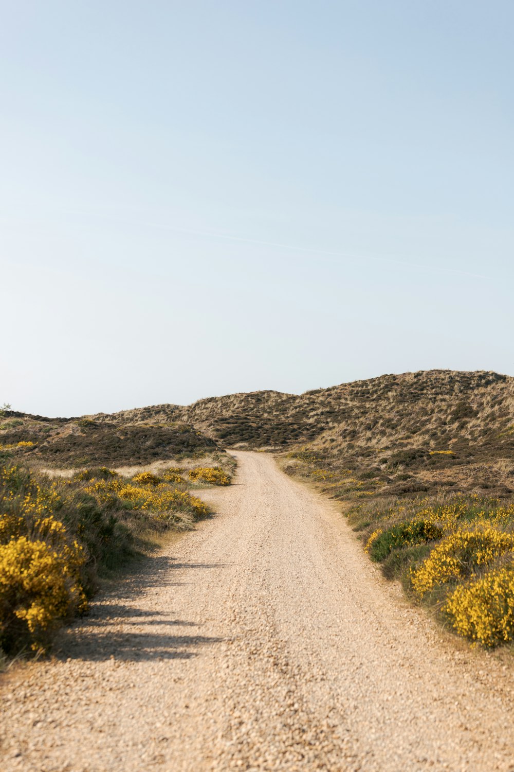 a dirt road in the middle of a desert