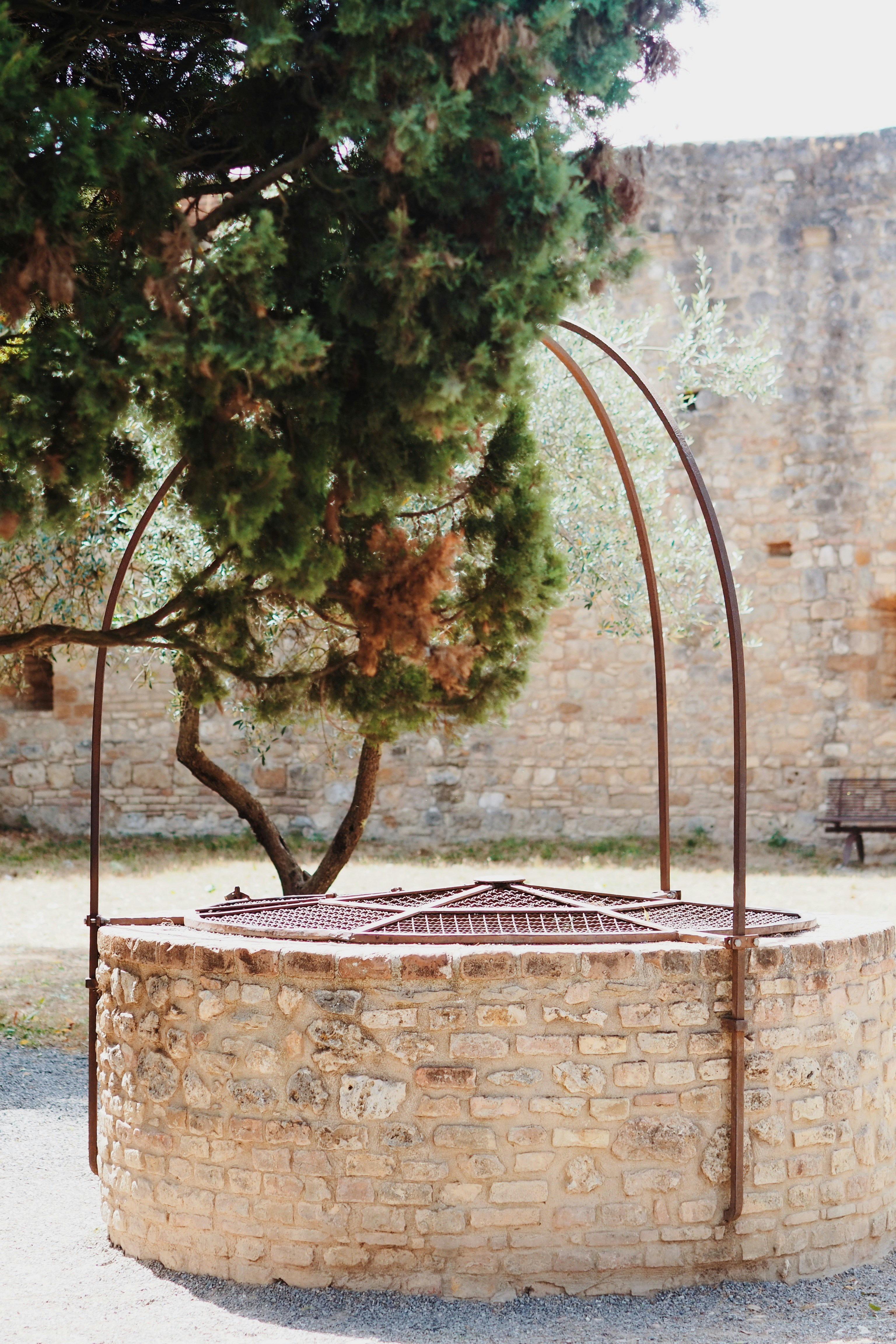 Un albero che si trova accanto a un pozzo del fuoco