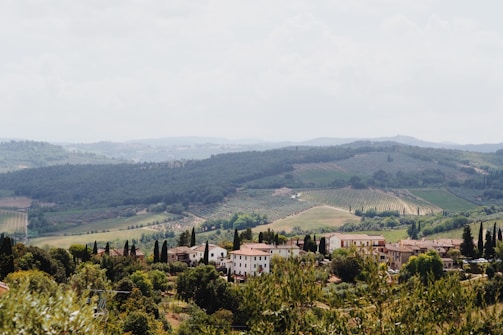 A picturesque landscape of rolling hills with lush green vineyards and scattered trees. A quaint village with red-roofed houses nestles among the greenery, evoking the charm of the Italian countryside. The background features layered hills receding into the distance under a hazy sky.