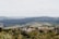 A picturesque landscape of rolling hills with lush green vineyards and scattered trees. A quaint village with red-roofed houses nestles among the greenery, evoking the charm of the Italian countryside. The background features layered hills receding into the distance under a hazy sky.