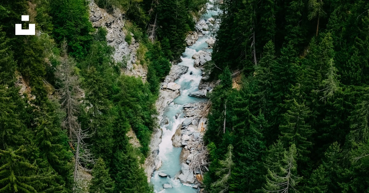 Foto zum Thema Ein Fluss, der durch einen üppig grünen Wald fließt
