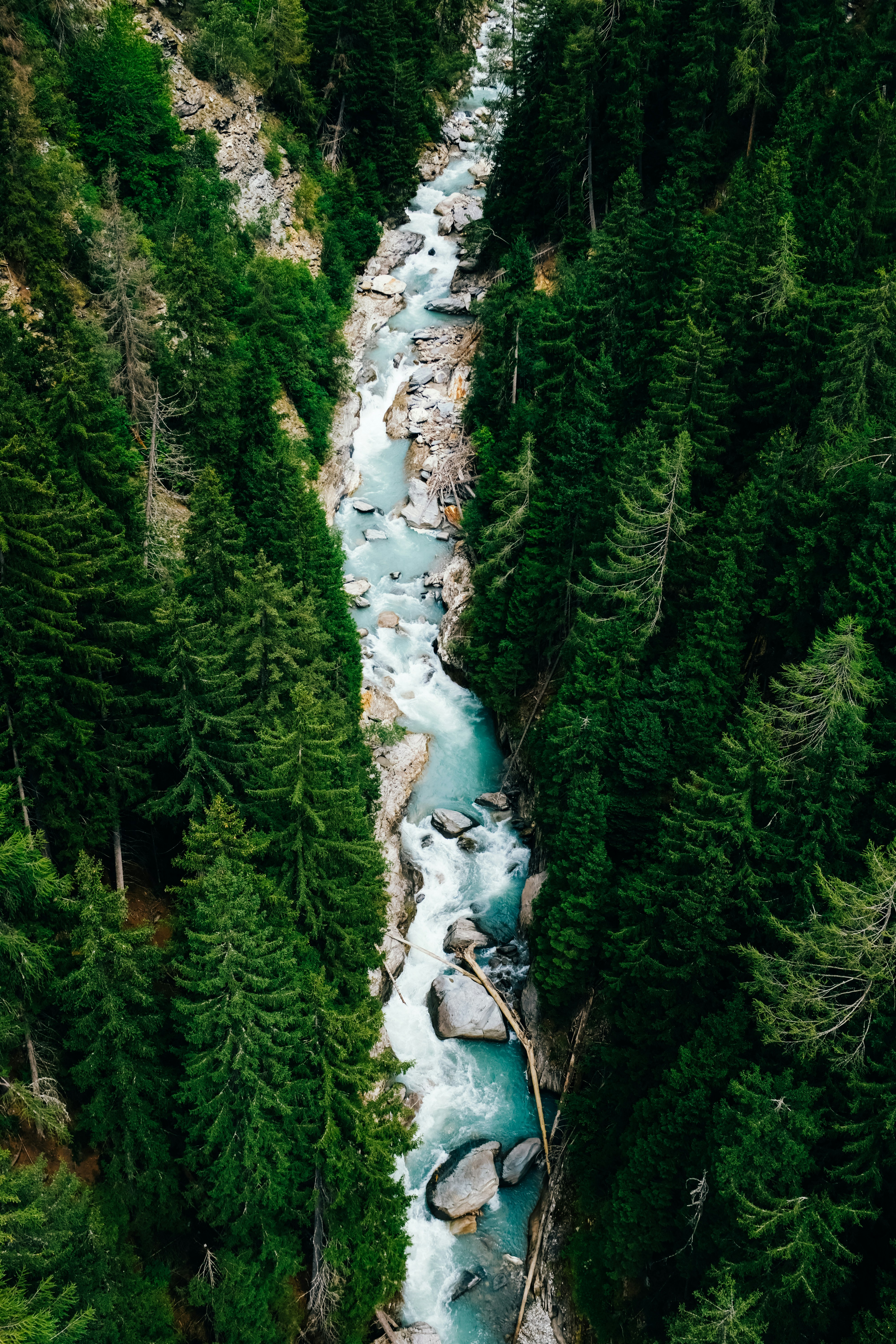 Photo by adrienolichon