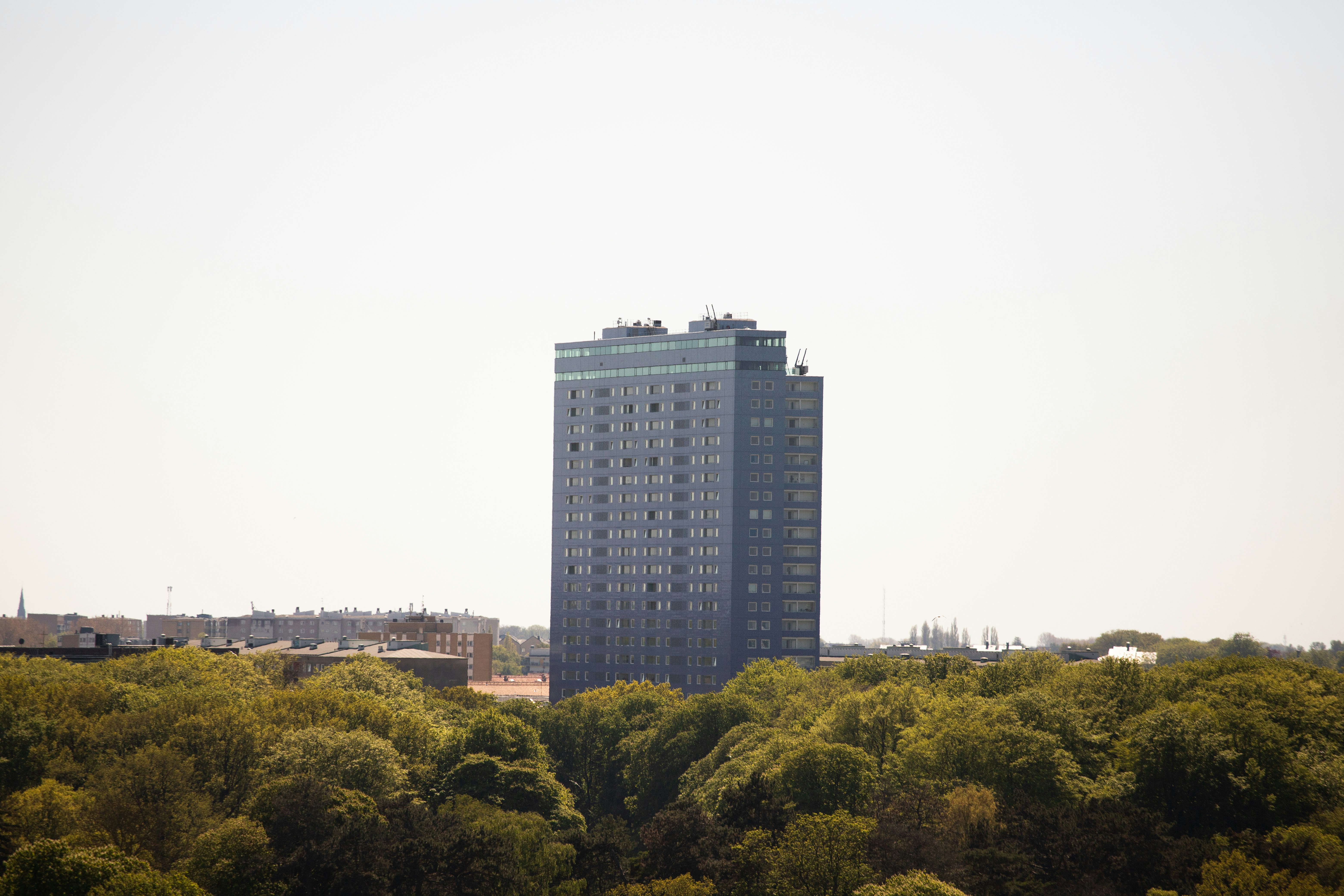 Photo by karlhornfeldt