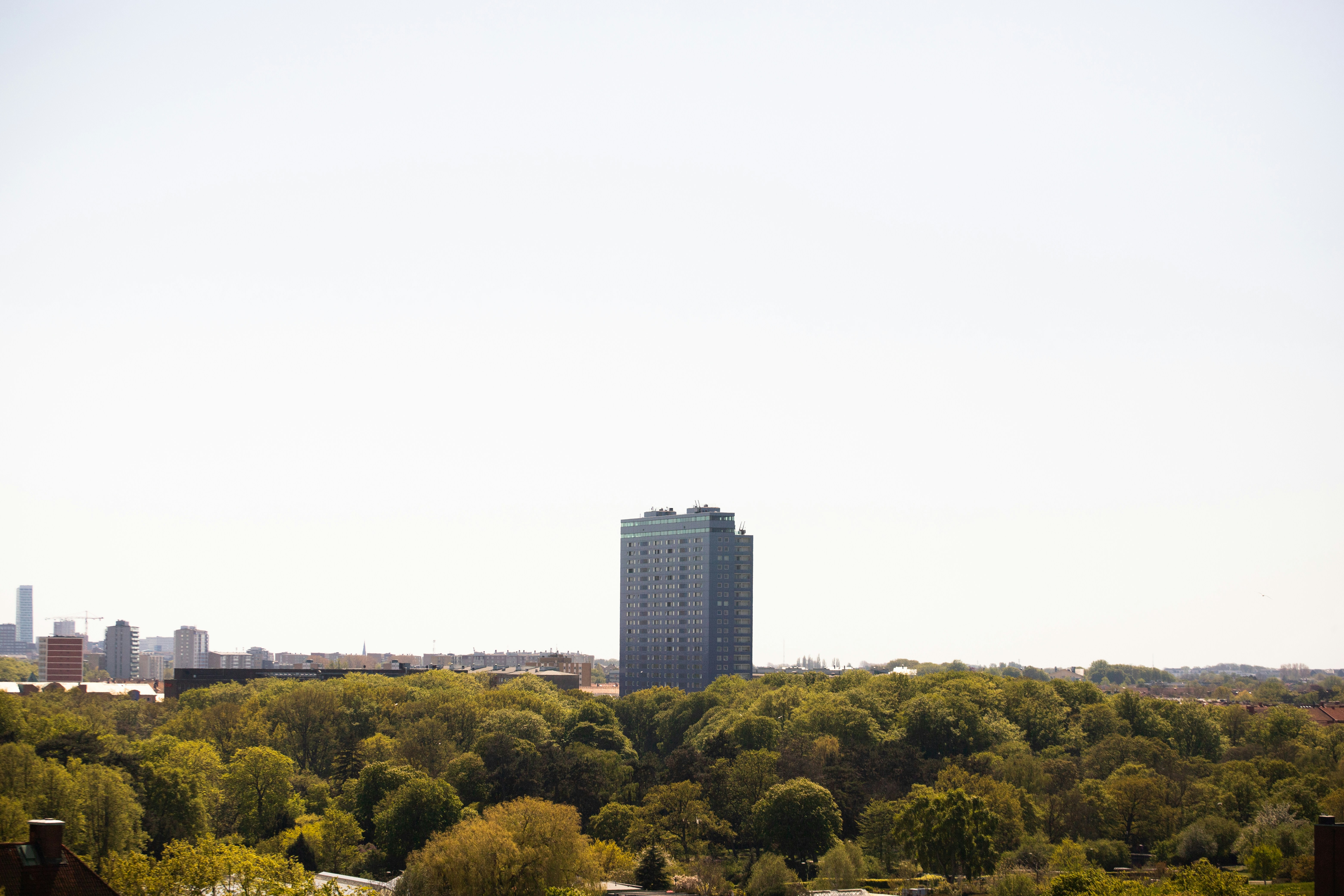 Photo by karlhornfeldt