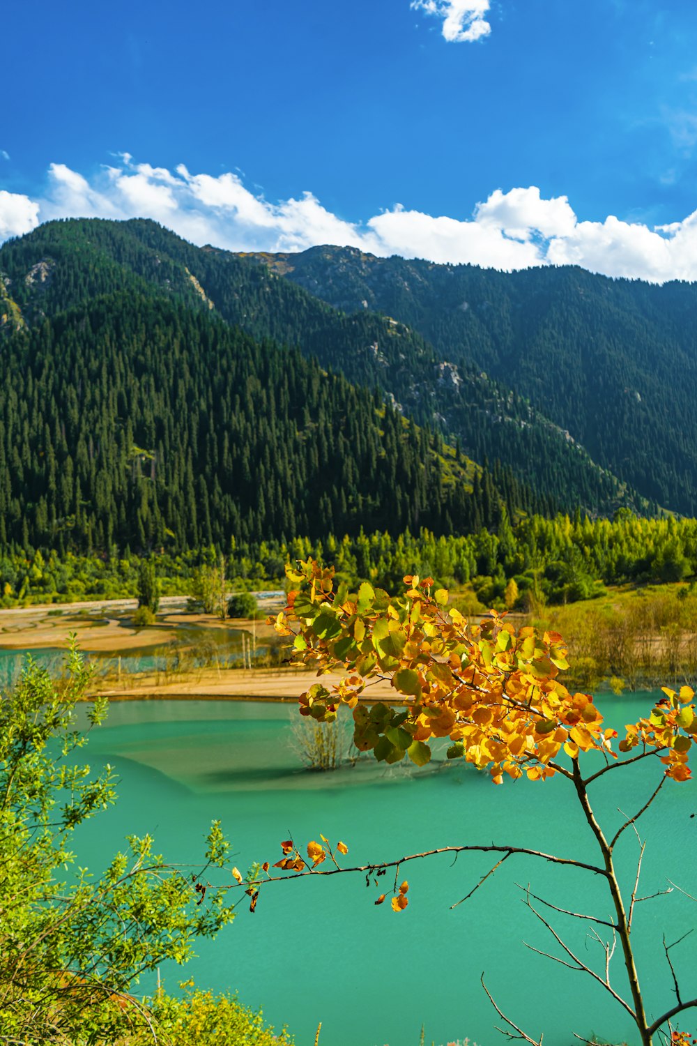 a view of a lake with a mountain in the background