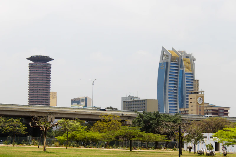 A Kenyan public institution where fellows deliver their capstone