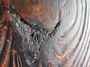Walnut Night Shine