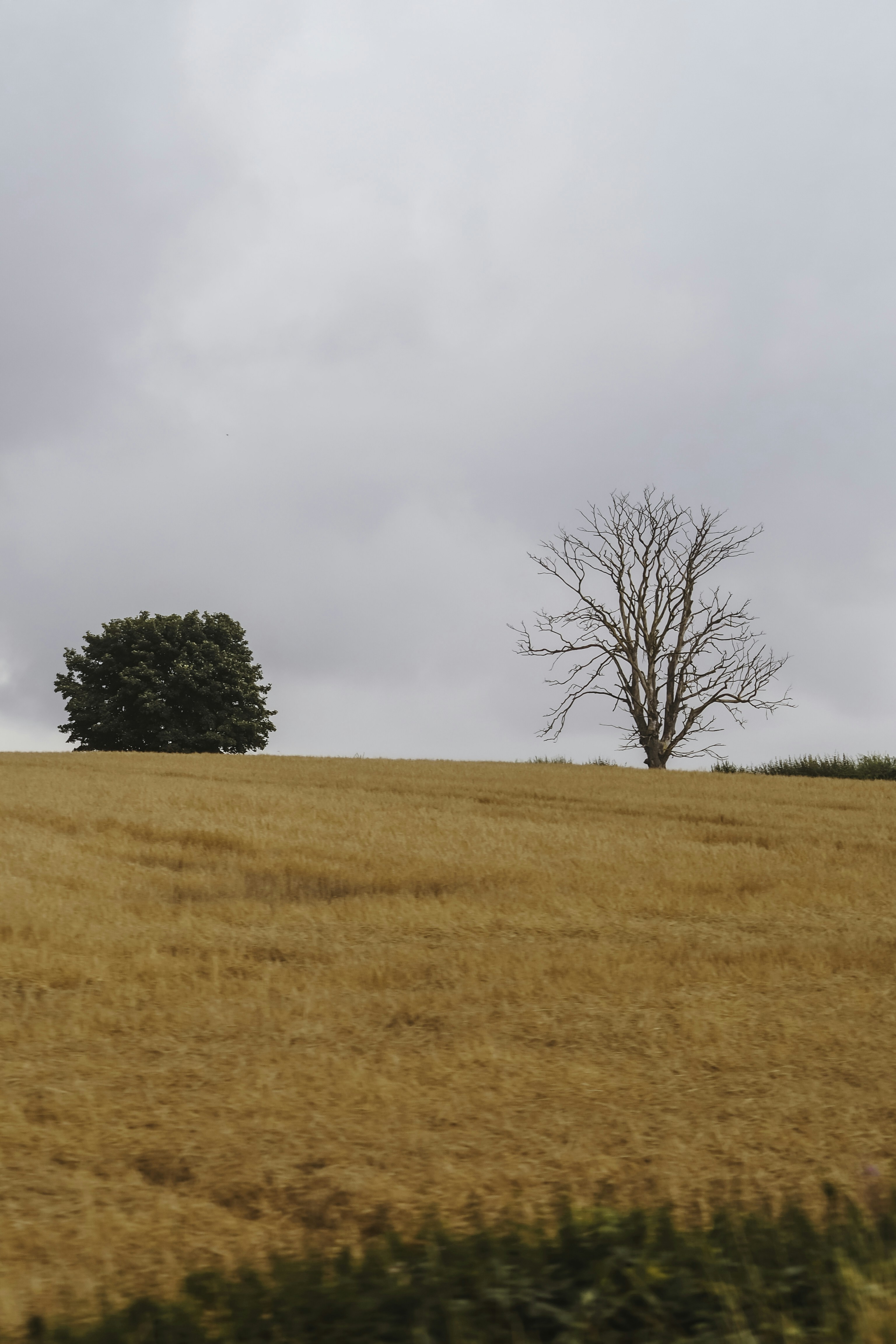 Photo by laurachouette