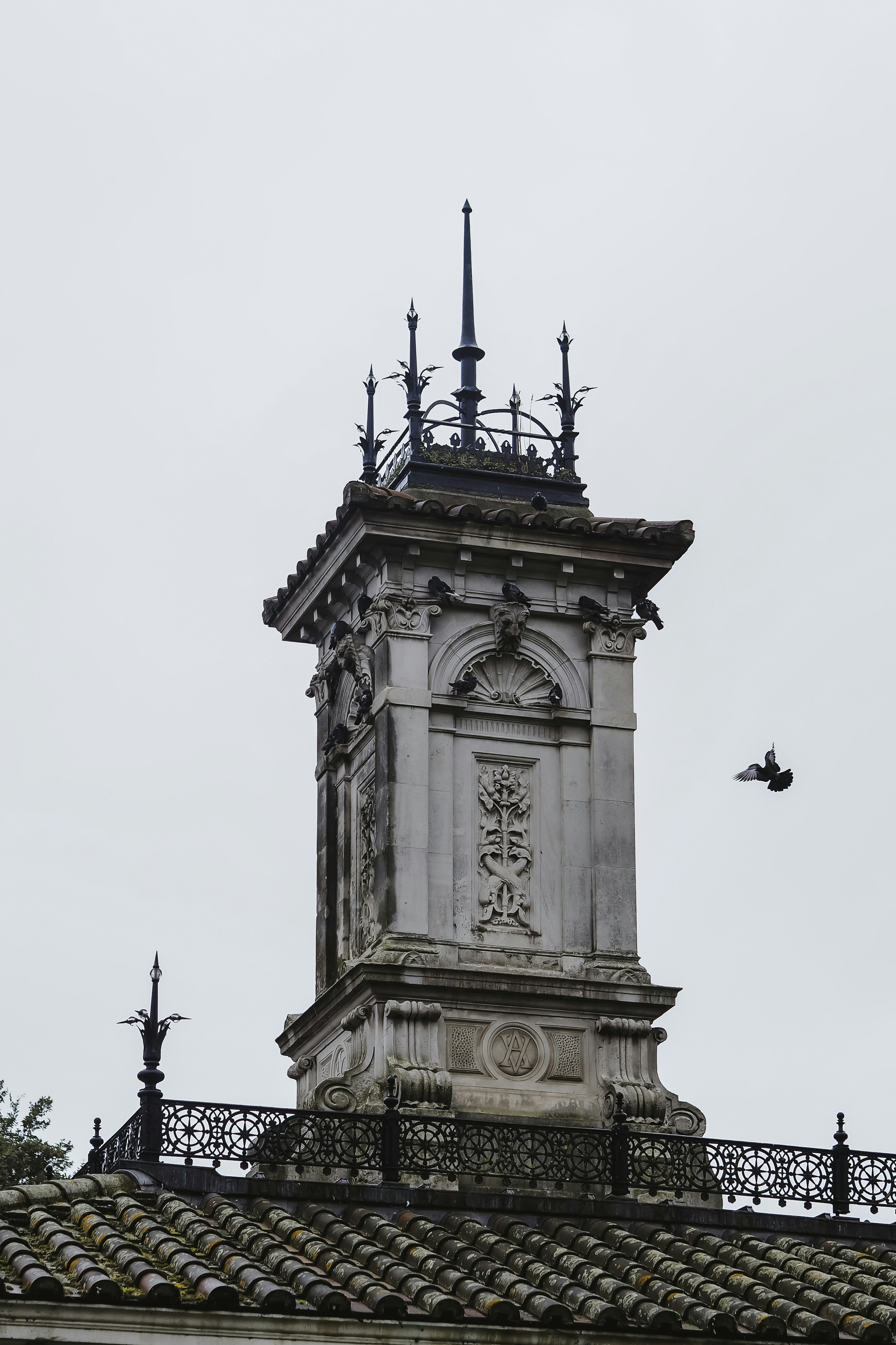 Photo by laurachouette