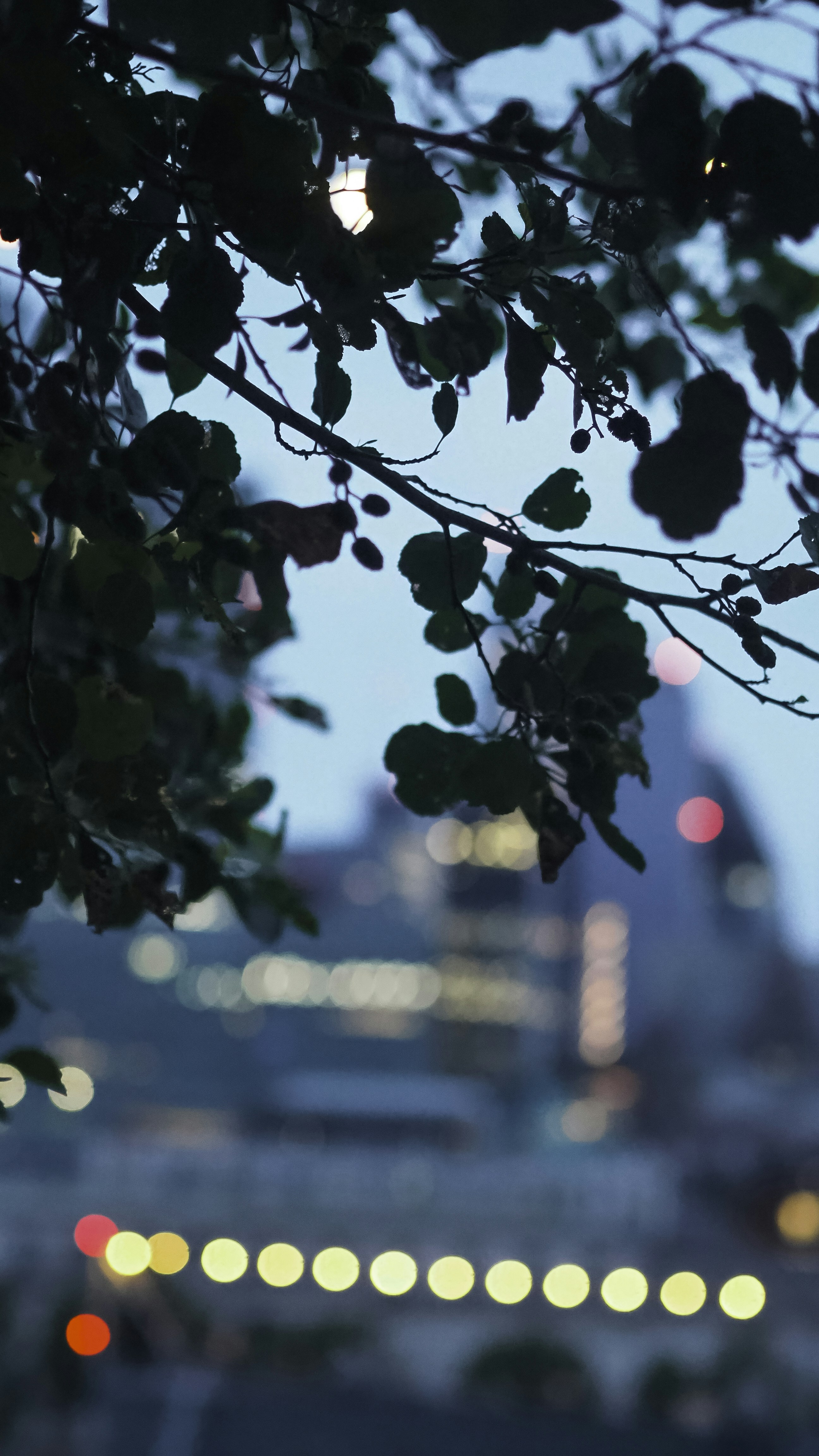 Photo by laurachouette