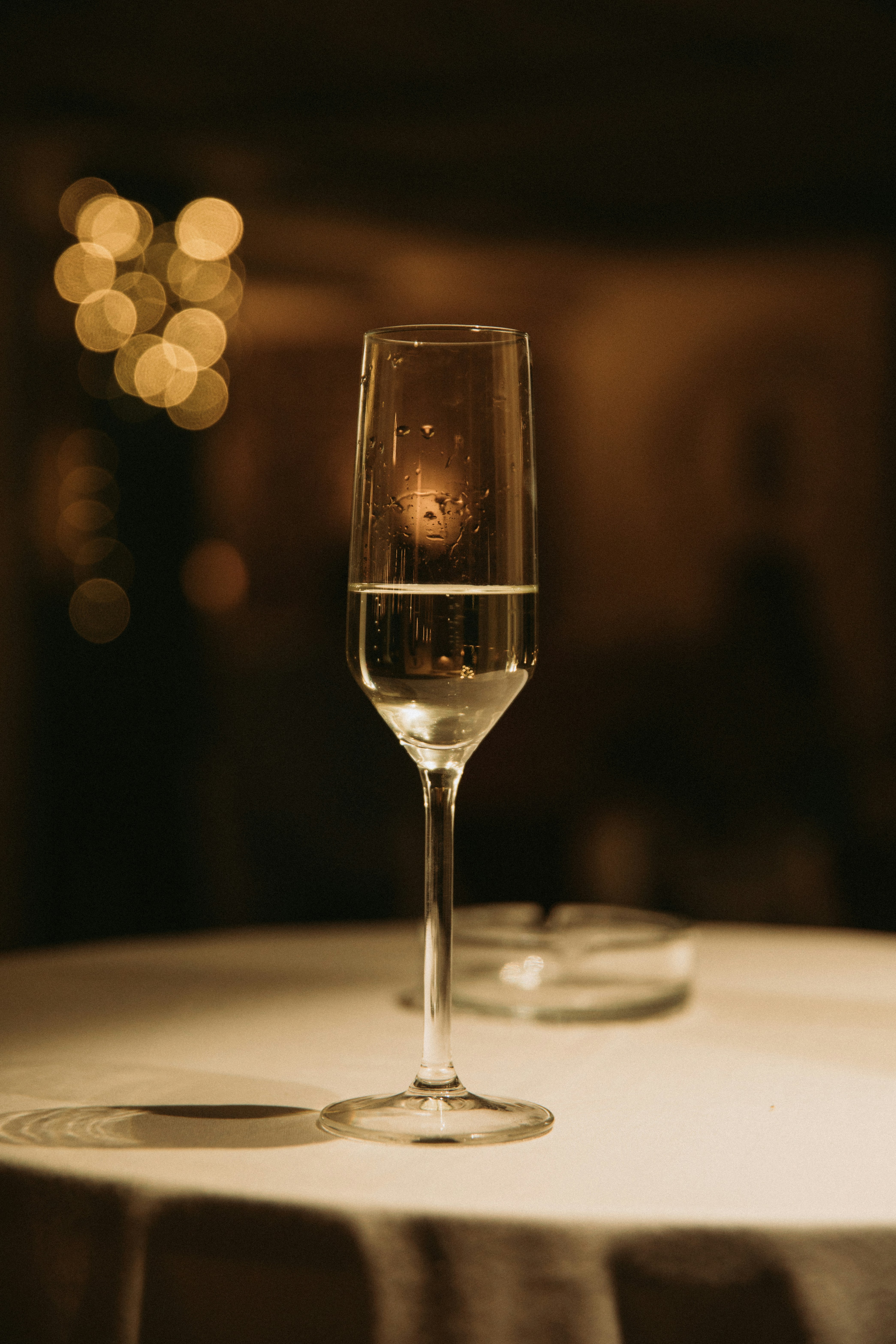 Photo by tamaragovedarov