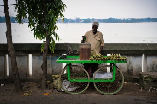 A man stands behind a green cart filled with corn cobs, positioned by a riverside. The cart has two large wheels and is placed next to a concrete railing under a tree. The background shows a calm river and the far bank with a skyline of buildings under a cloudy sky.