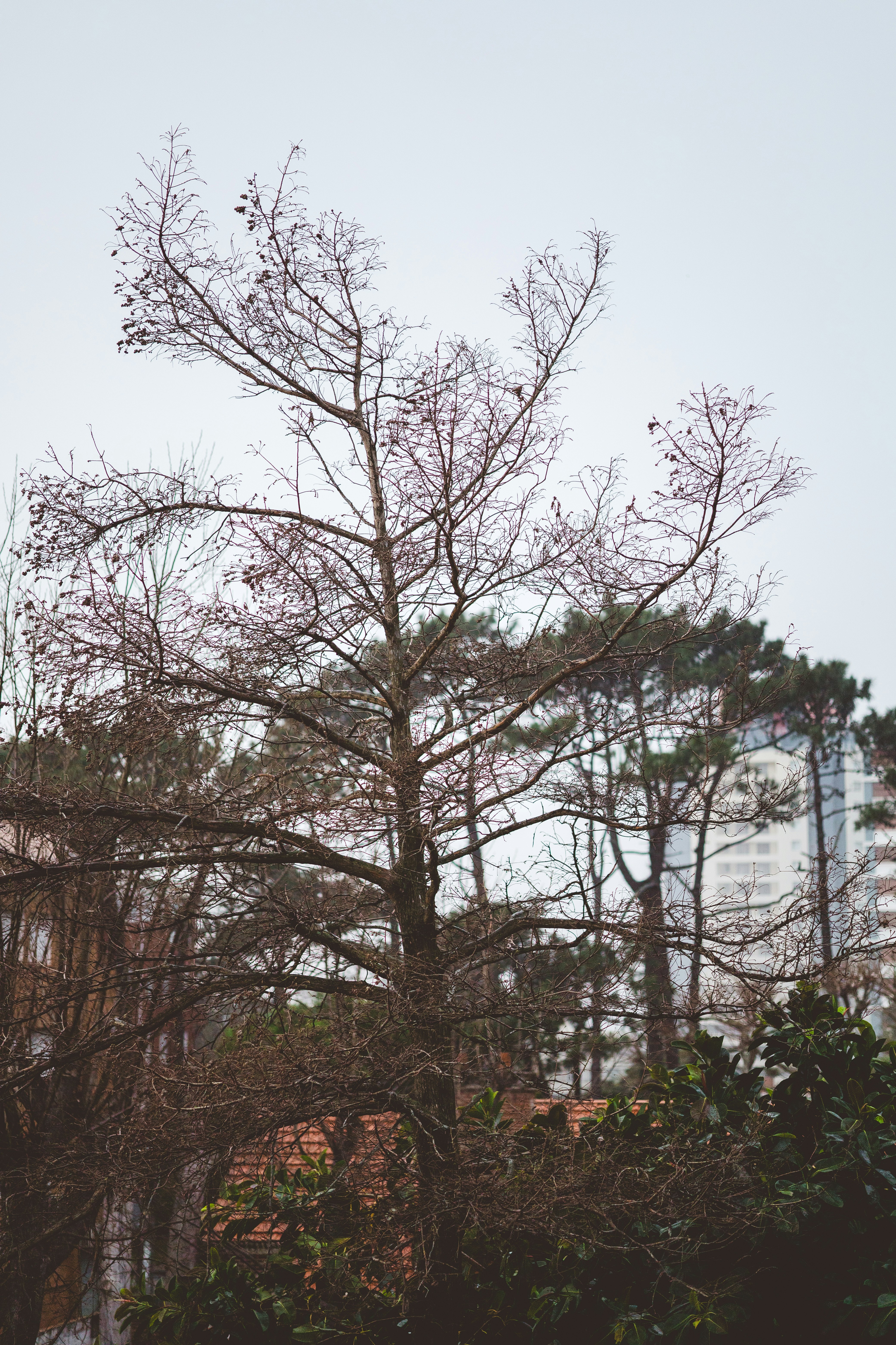 Photo by rrodriguesim