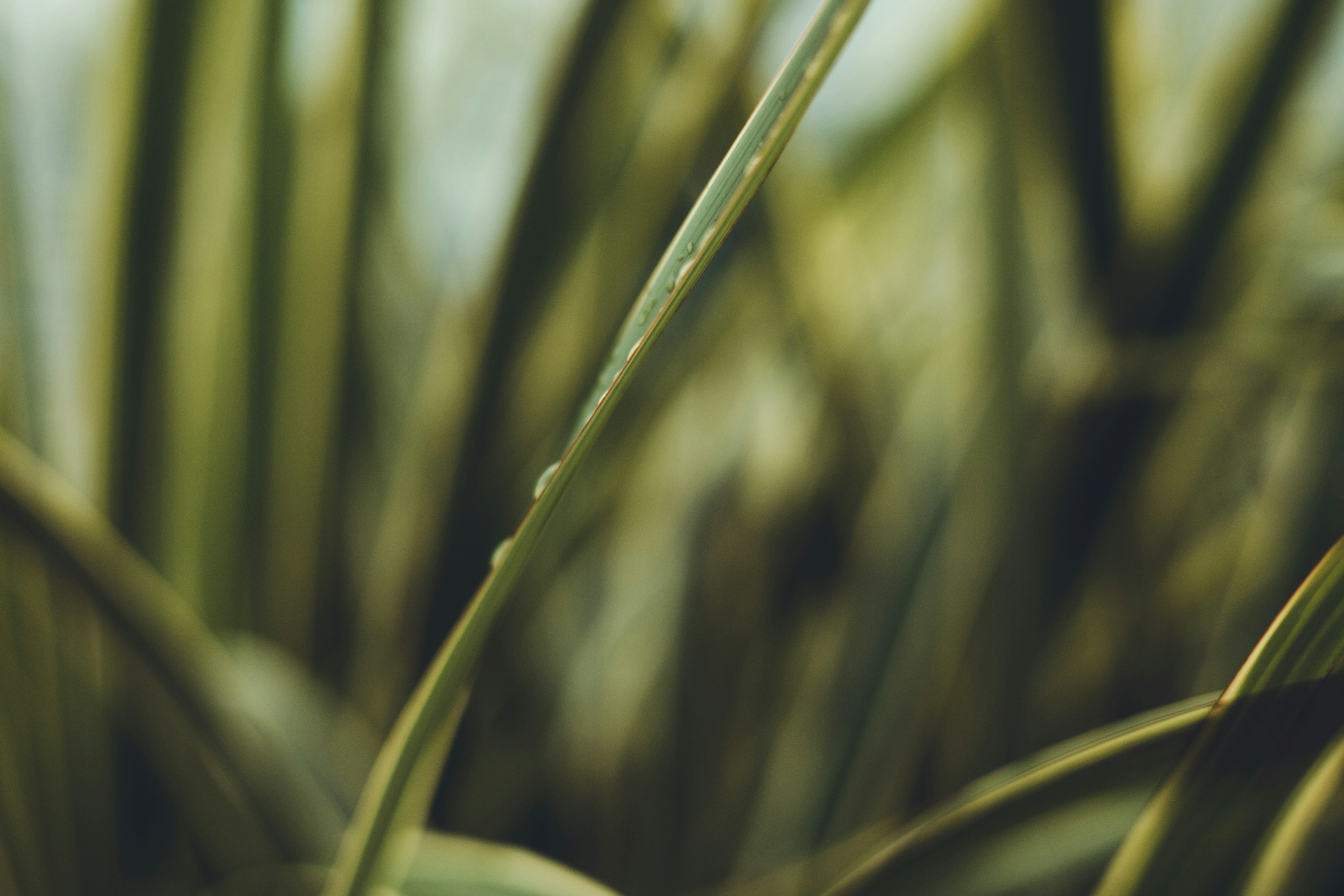 Photo by rrodriguesim