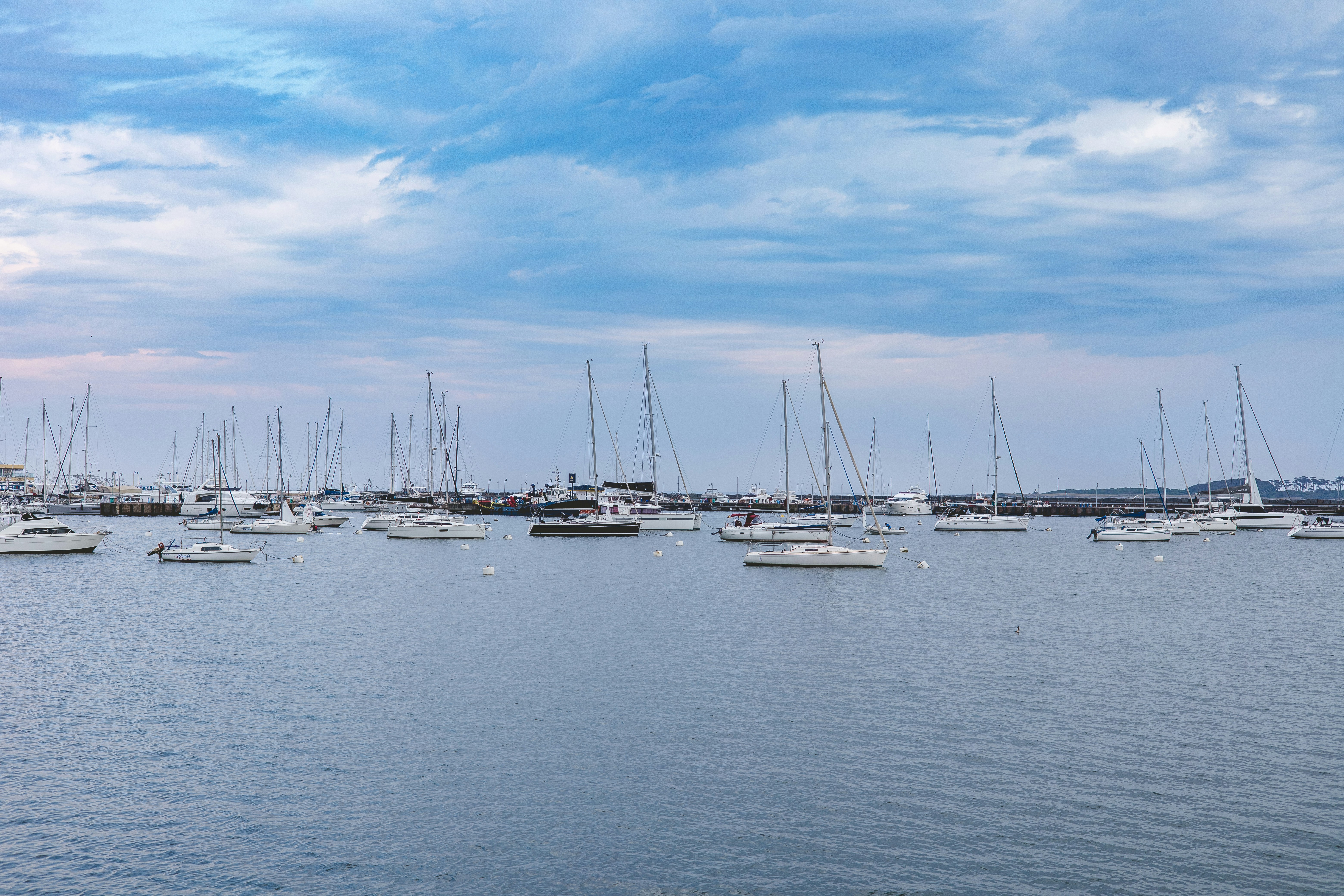 Photo by rrodriguesim