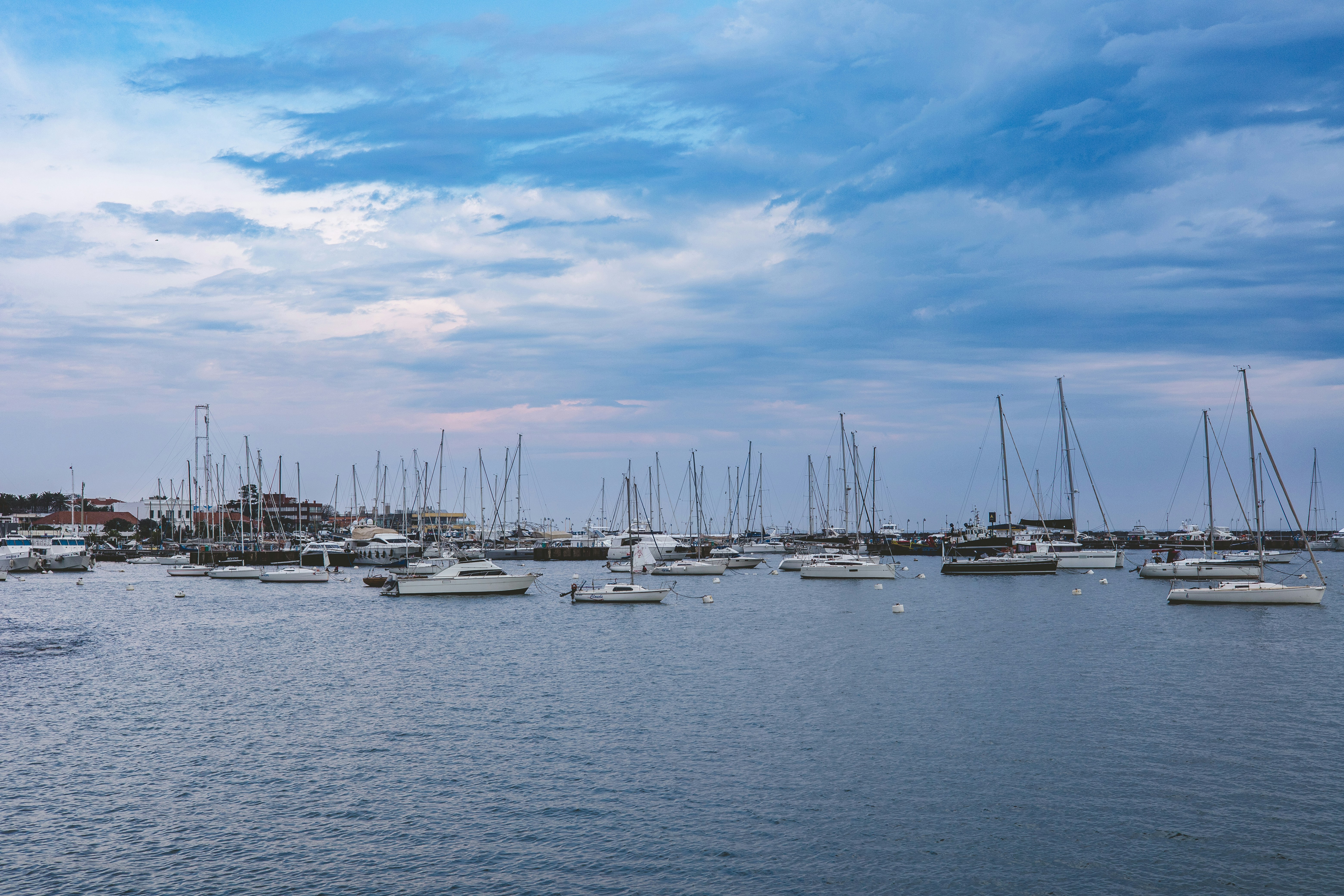 Photo by rrodriguesim