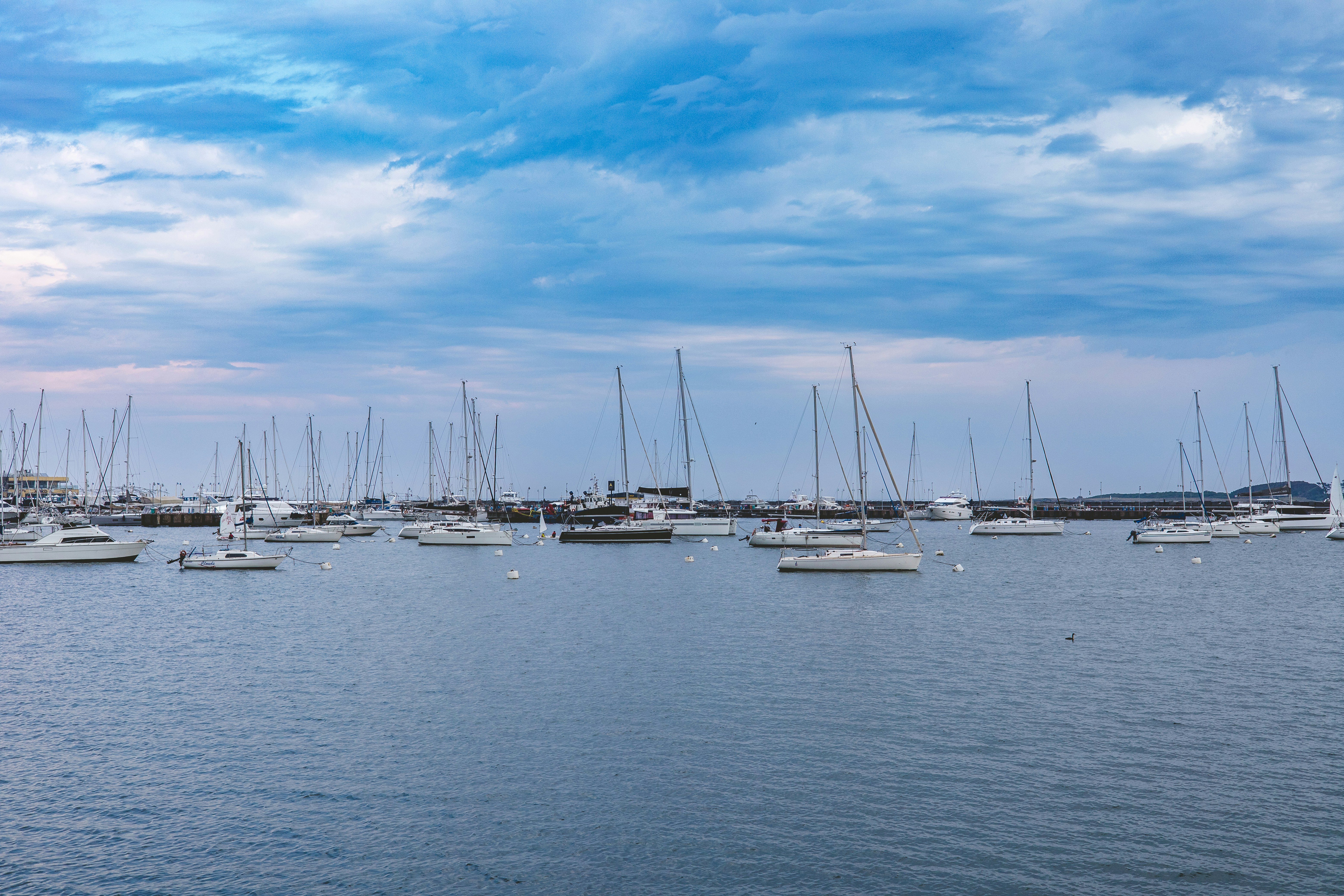 Photo by rrodriguesim