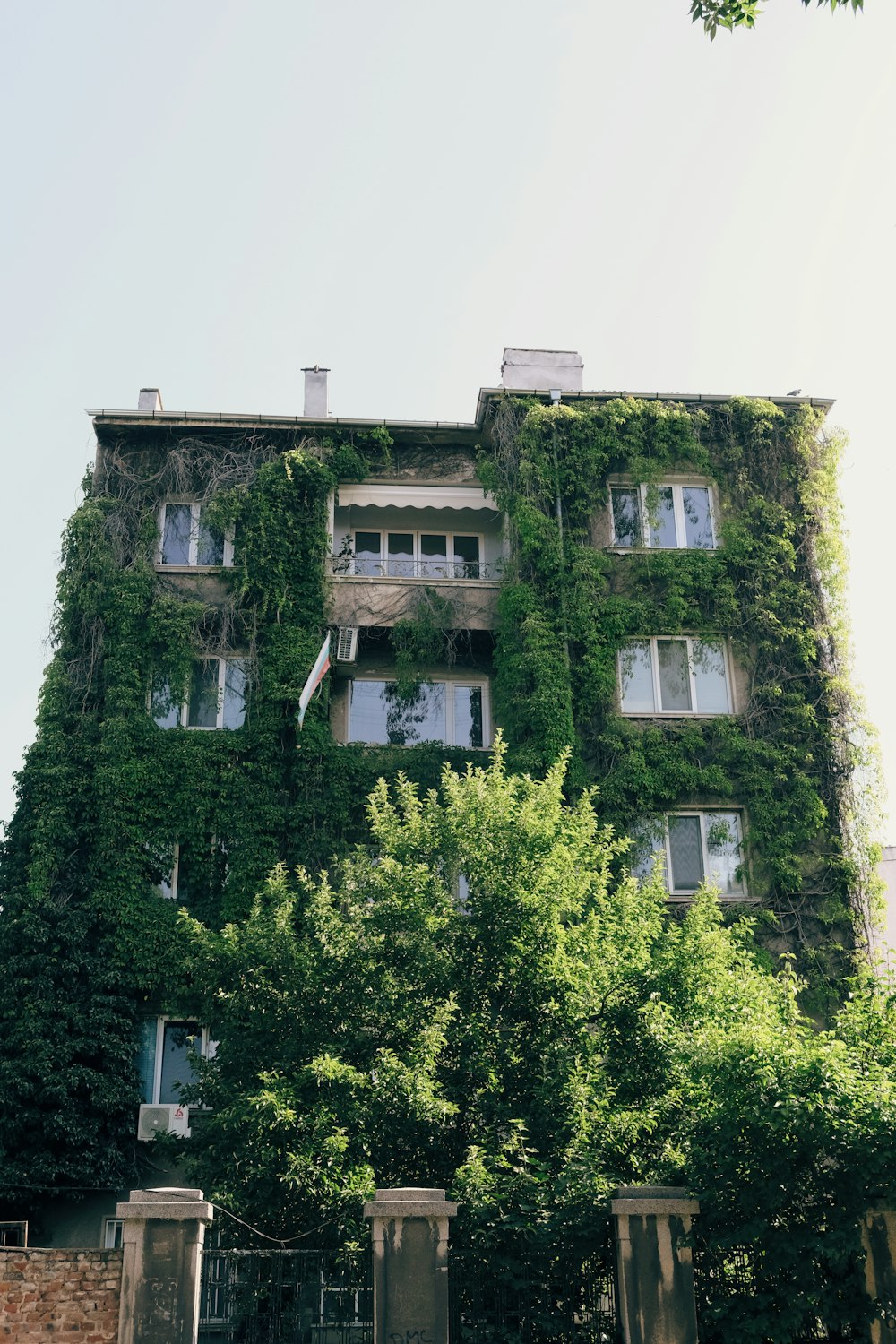 a tall building covered in vines and vines