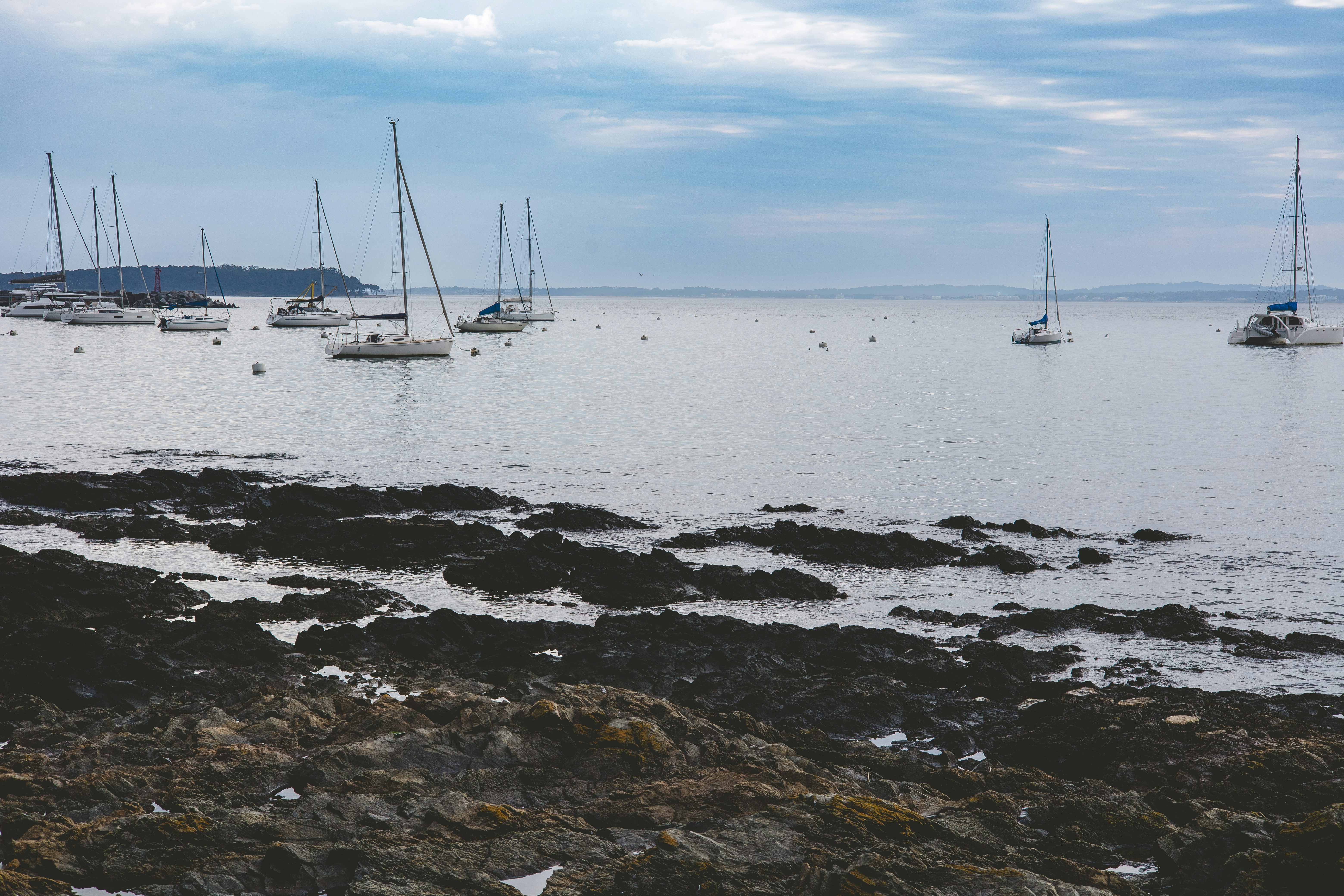 Photo by rrodriguesim