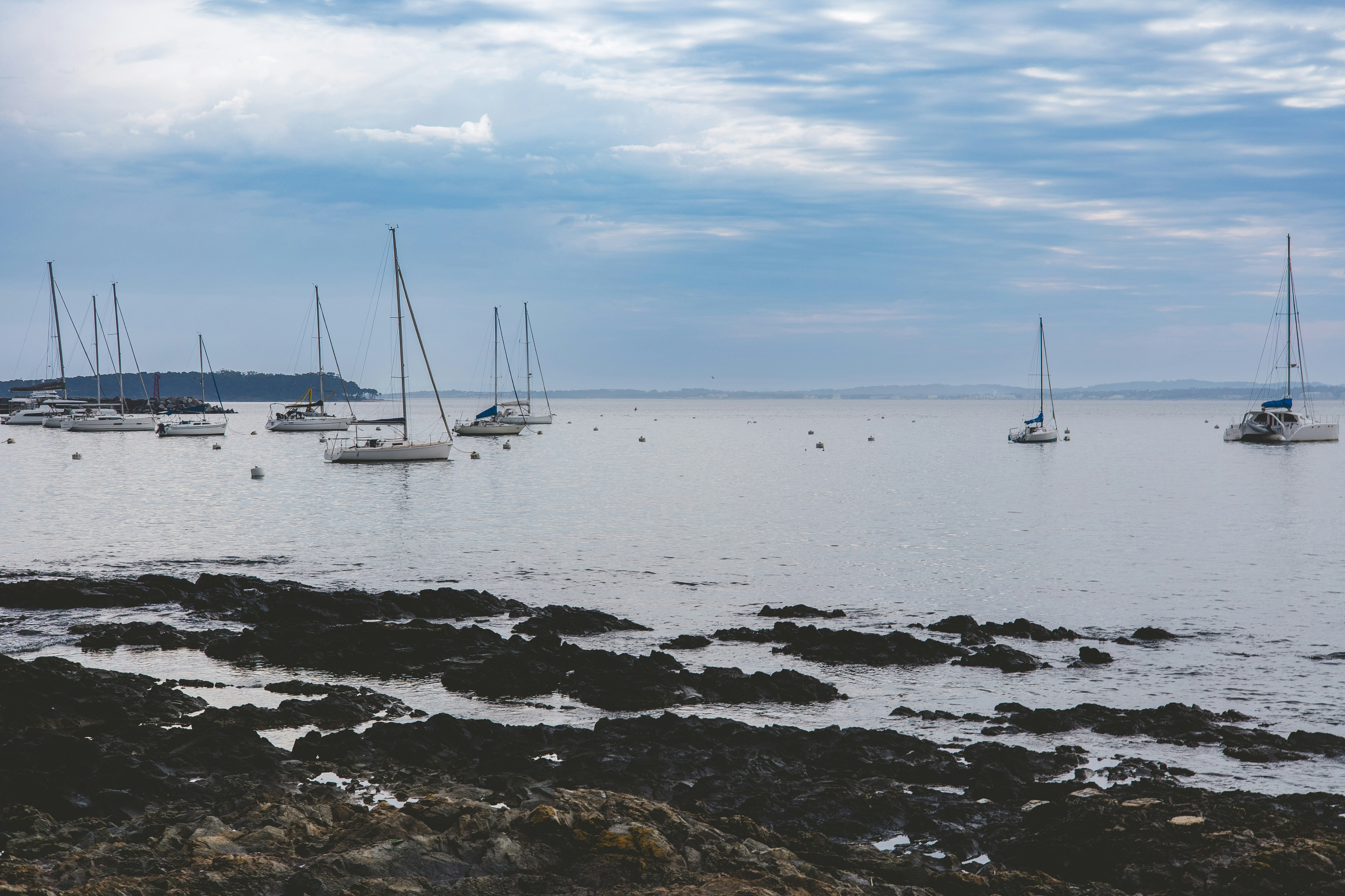 Photo by rrodriguesim