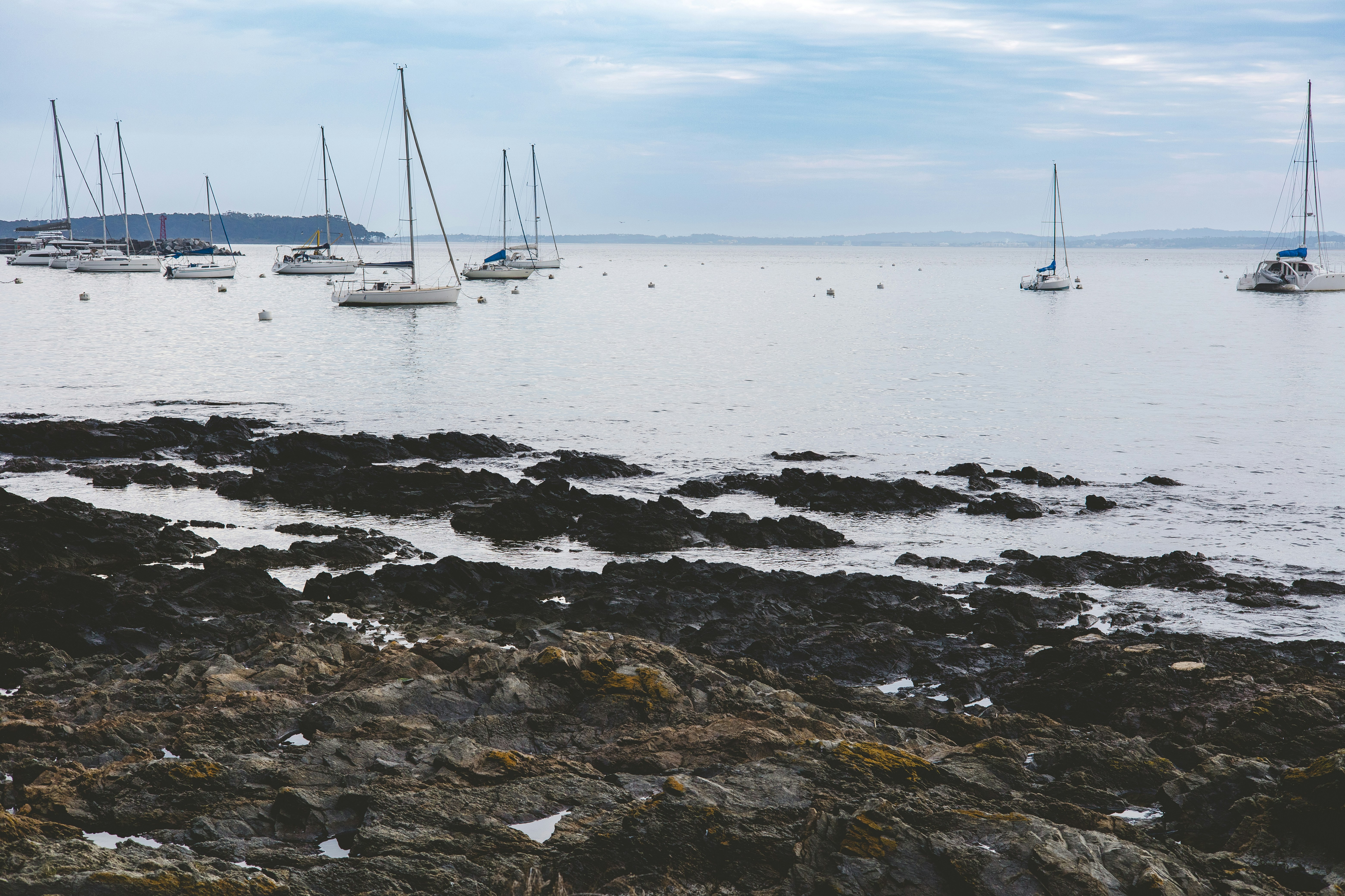 Photo by rrodriguesim