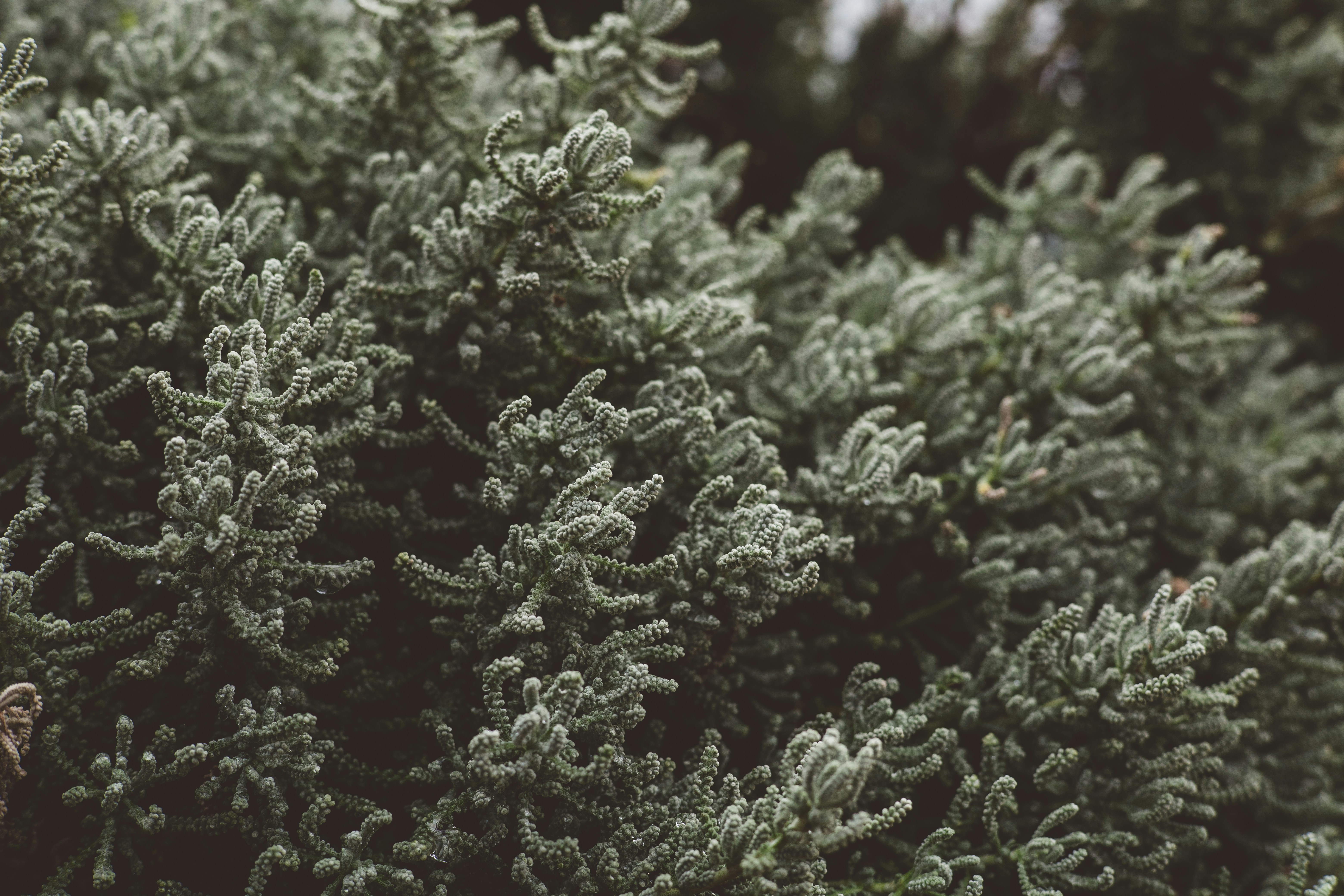 Photo by rrodriguesim