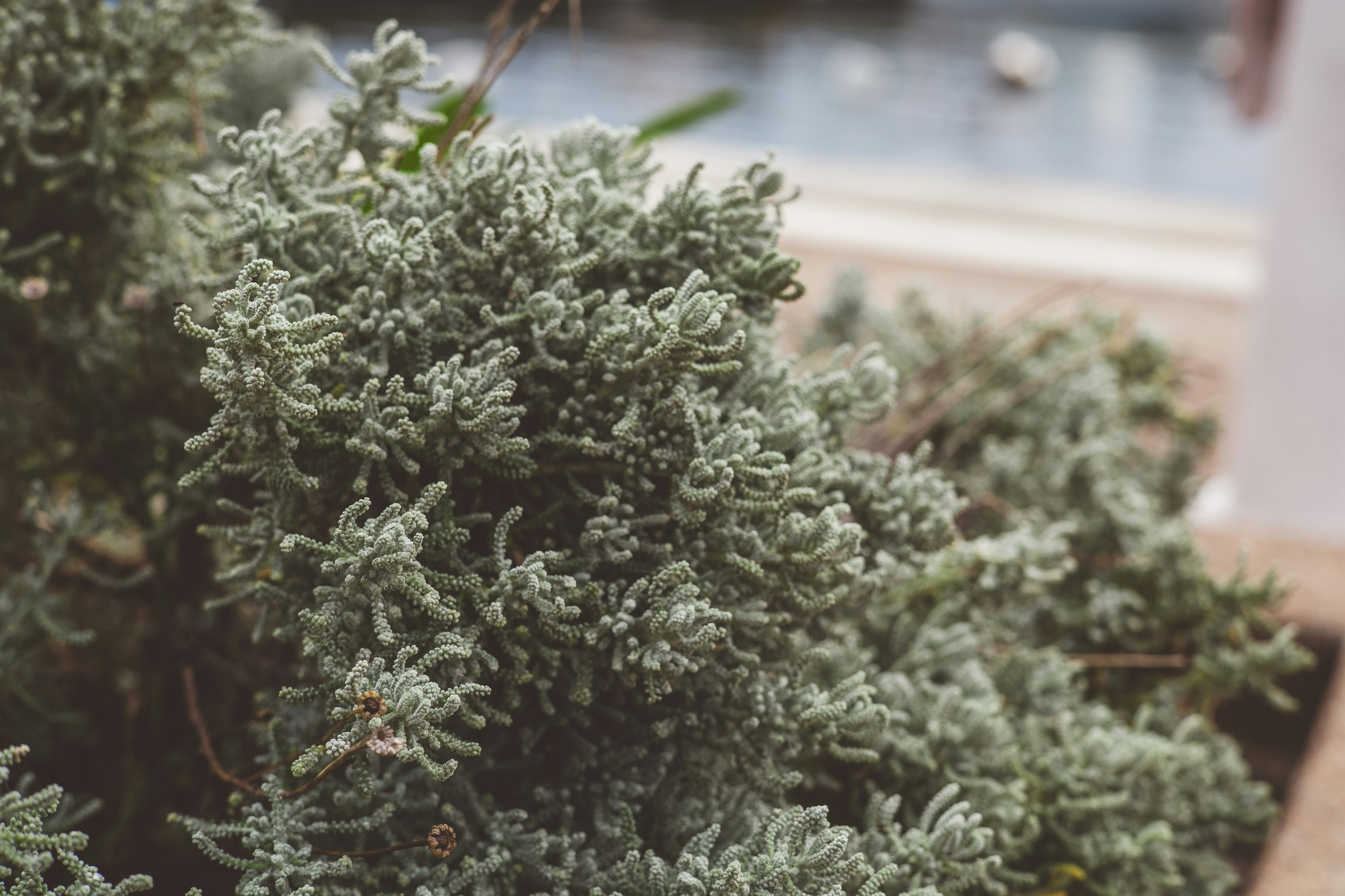 Photo by rrodriguesim