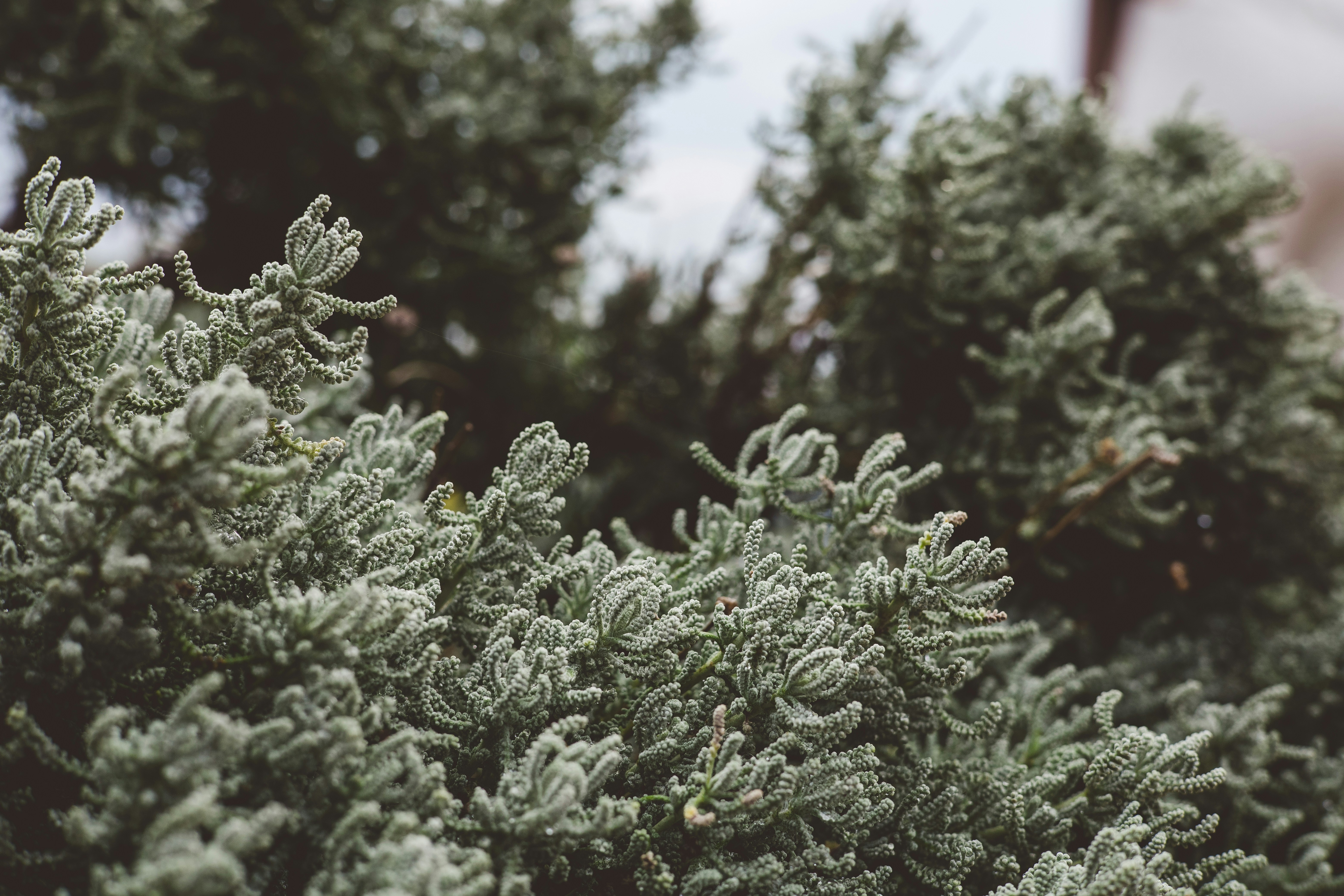 Photo by rrodriguesim