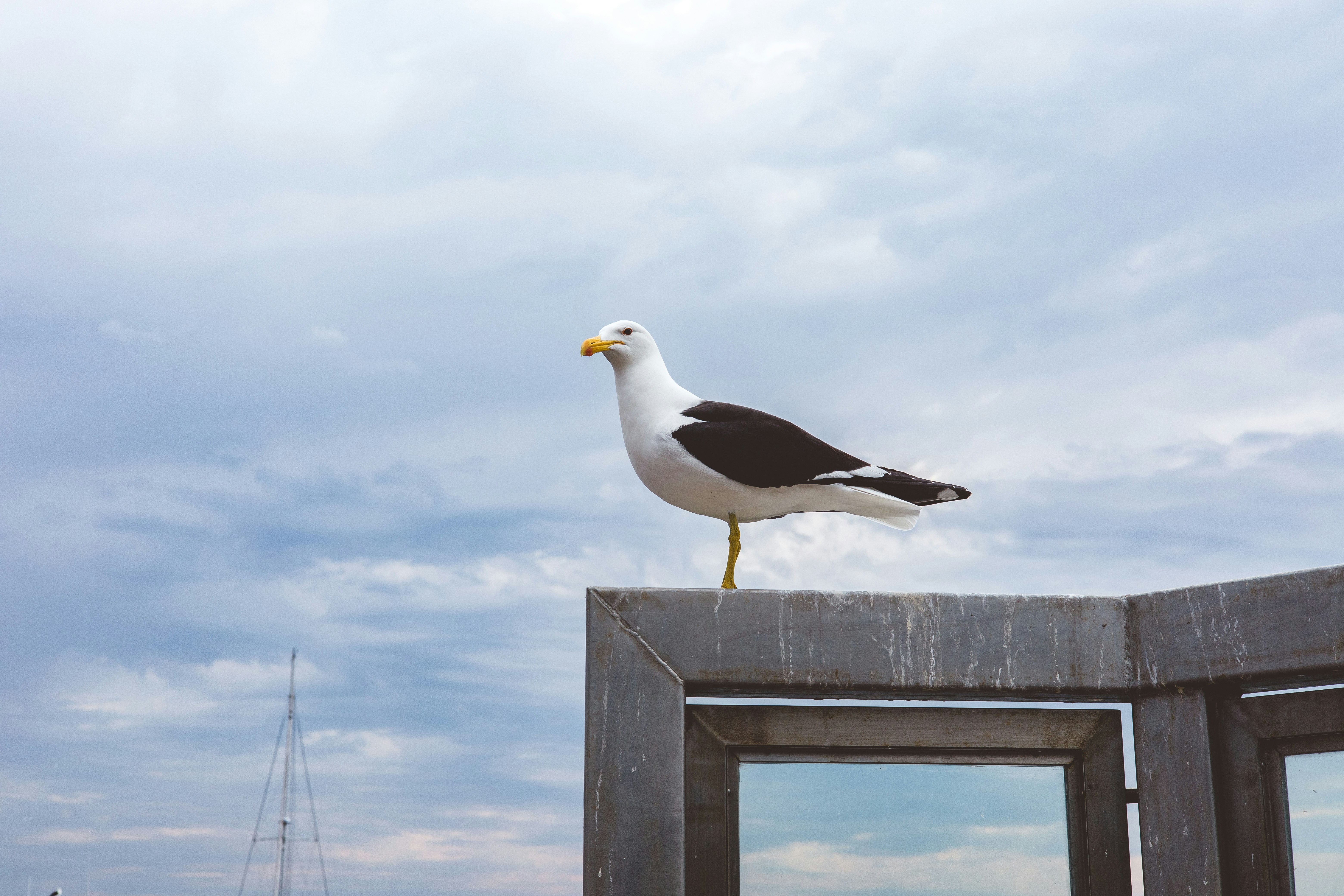 Photo by rrodriguesim