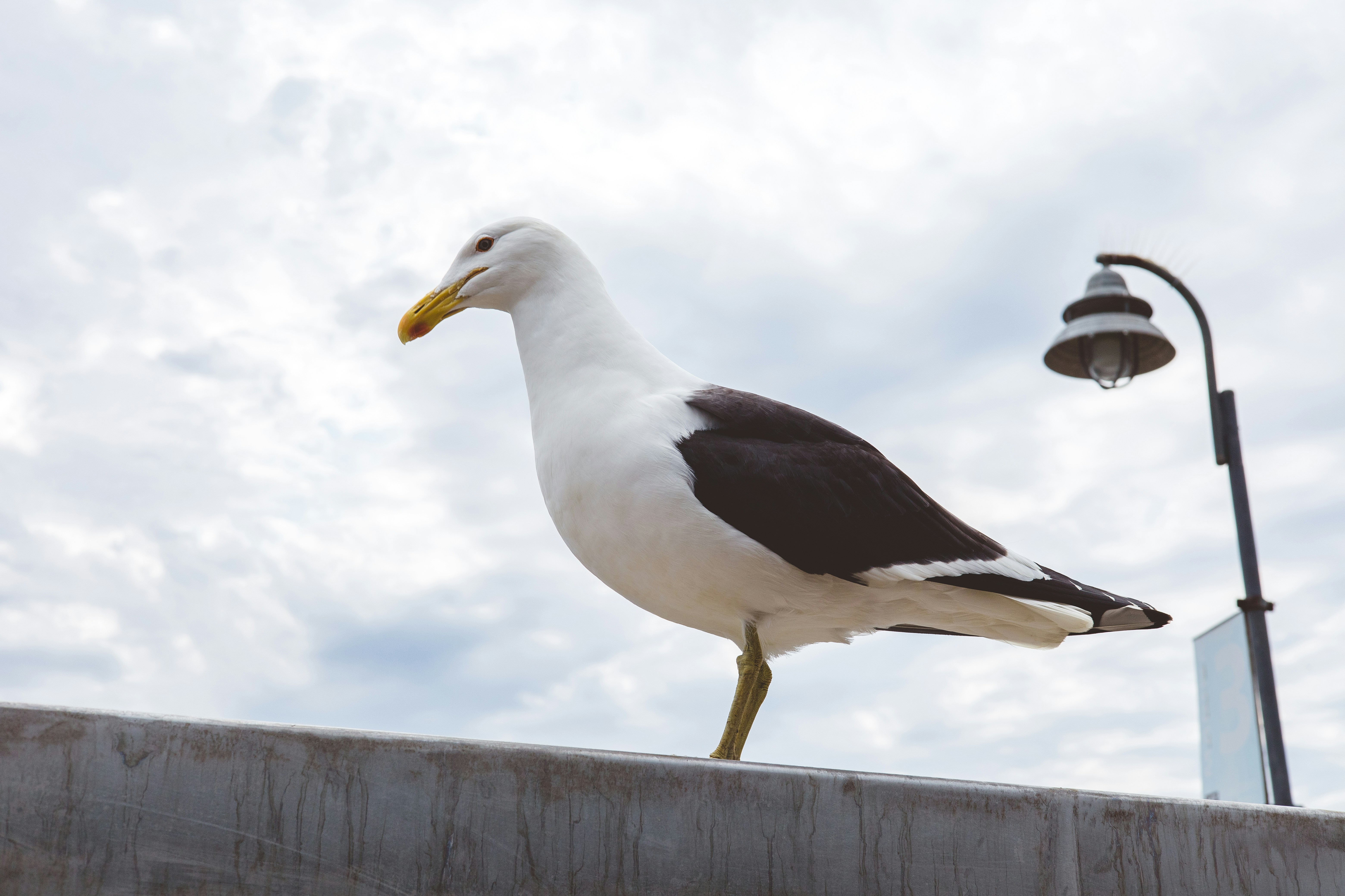 Photo by rrodriguesim