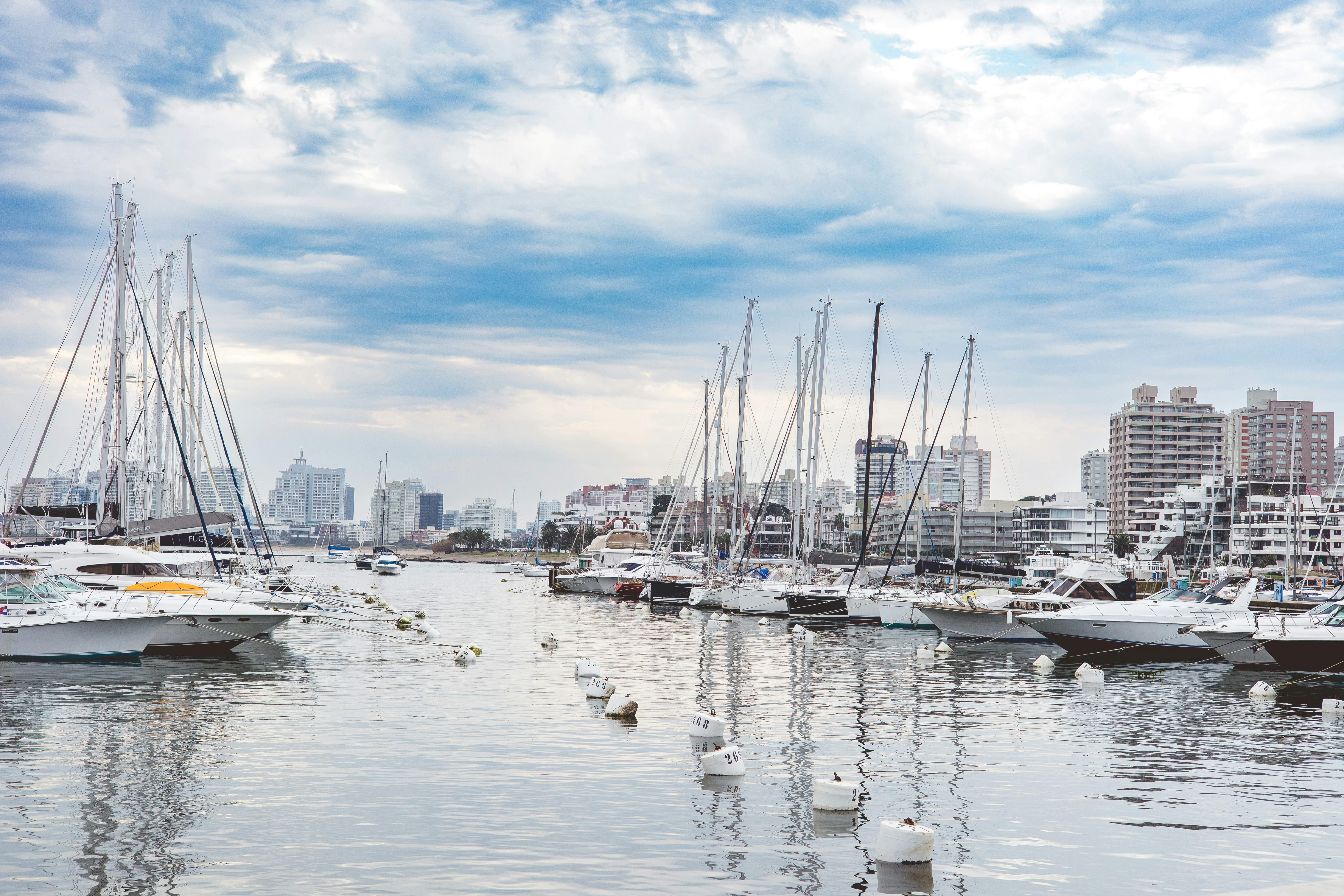 Photo by rrodriguesim