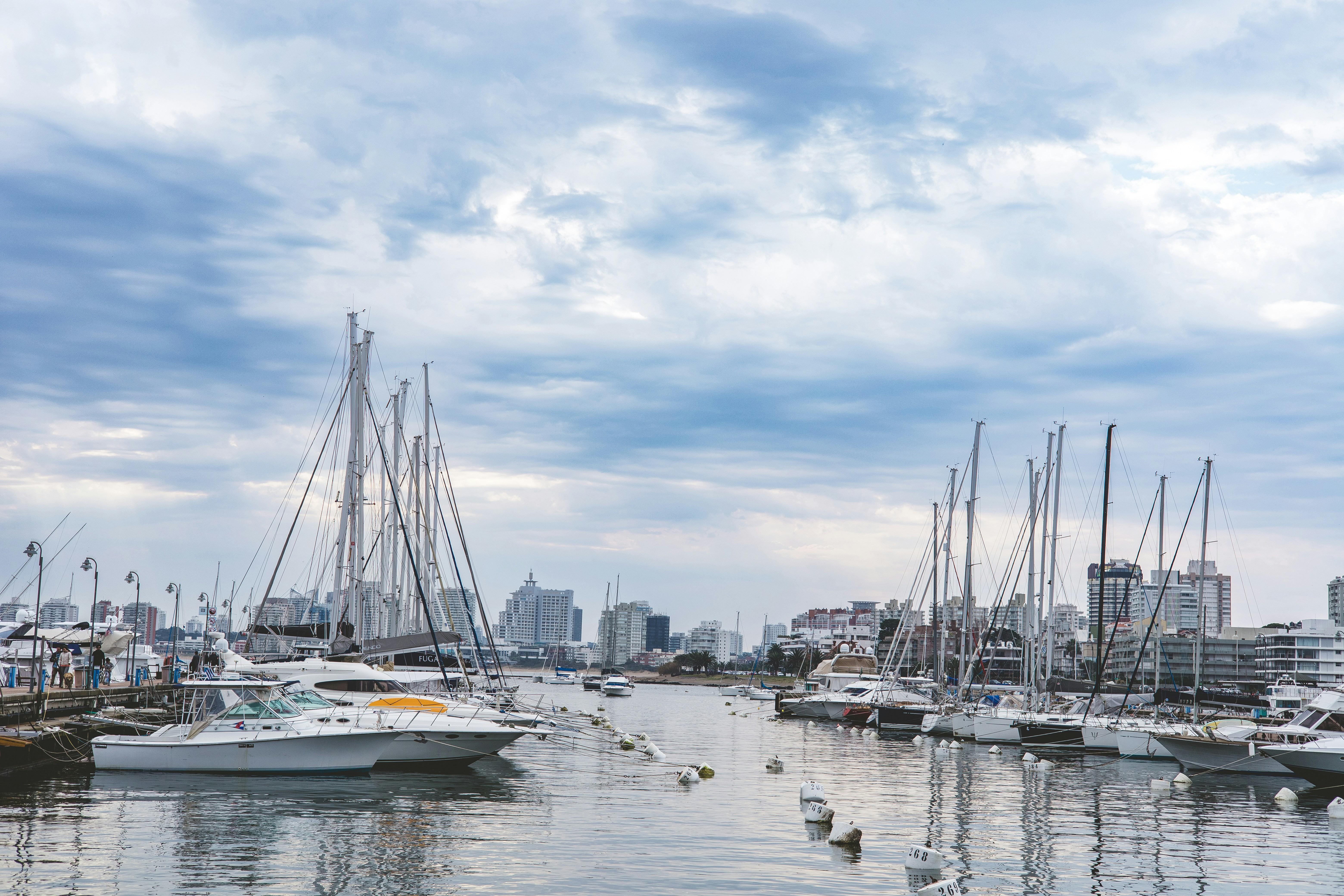 Photo by rrodriguesim