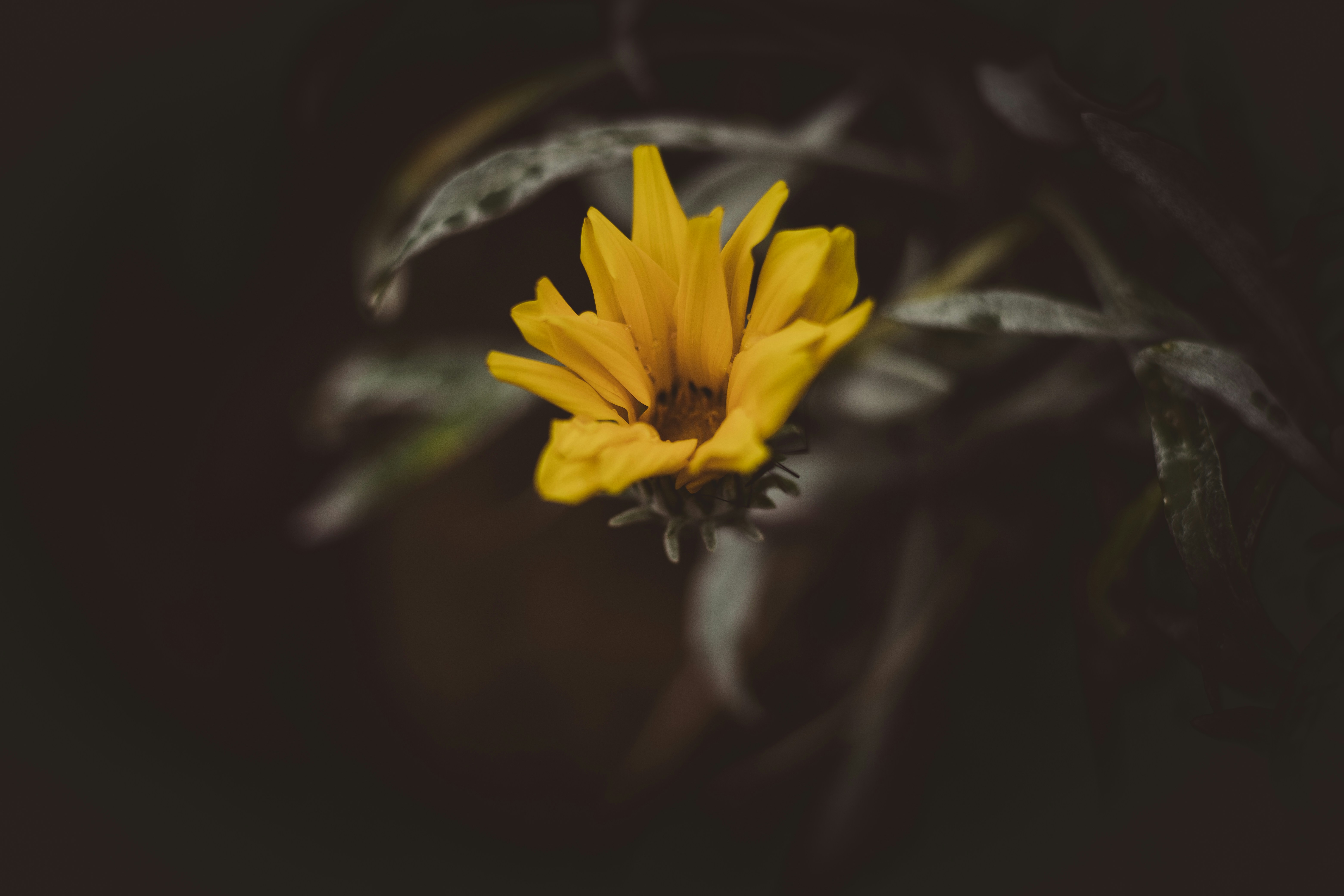 Photo by rrodriguesim