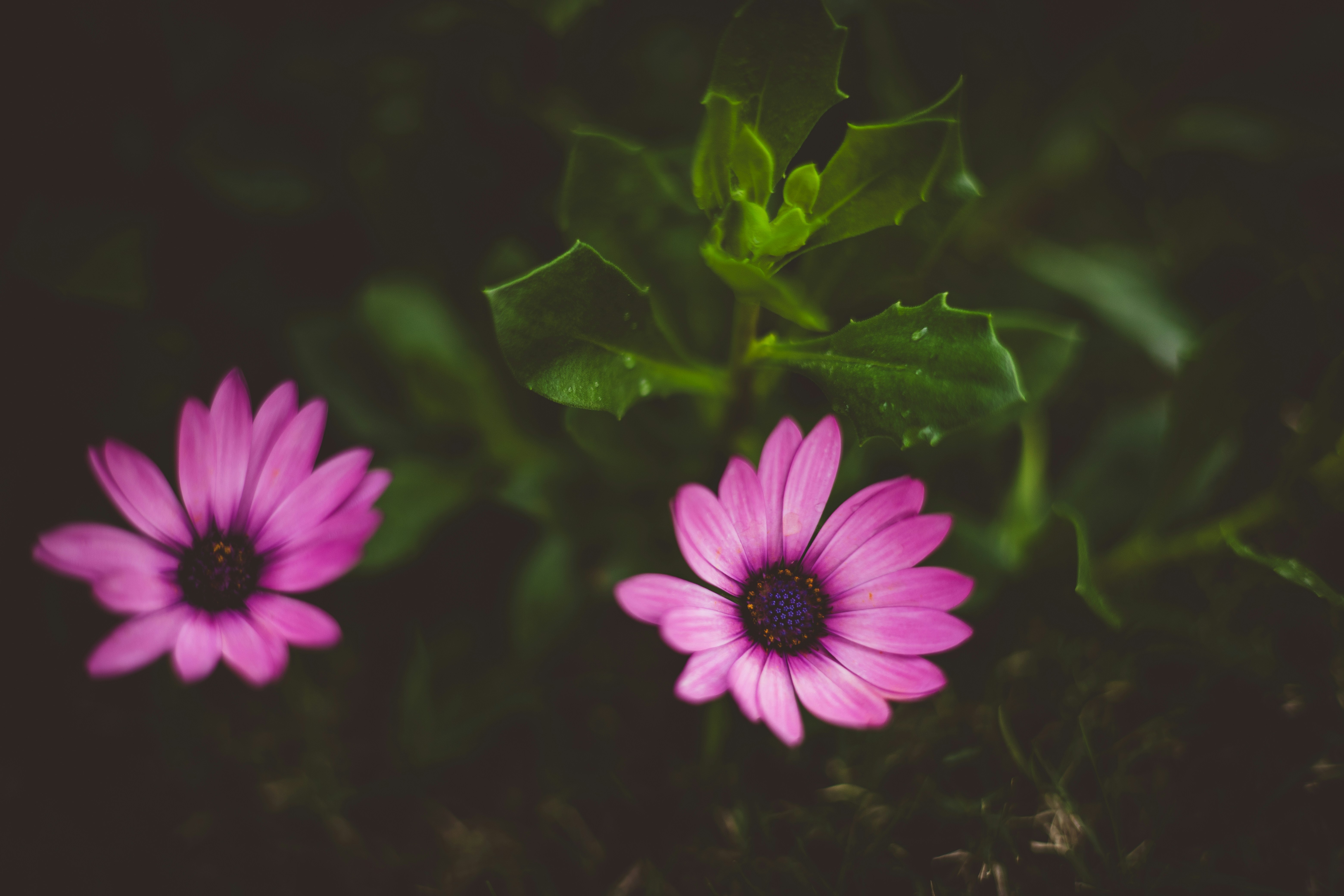 Photo by rrodriguesim