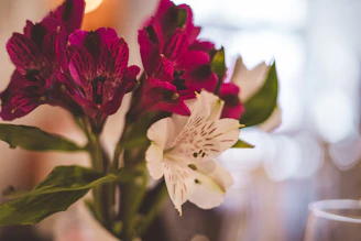 Close-up of a magenta bouquet with personalized tags on a wooden table